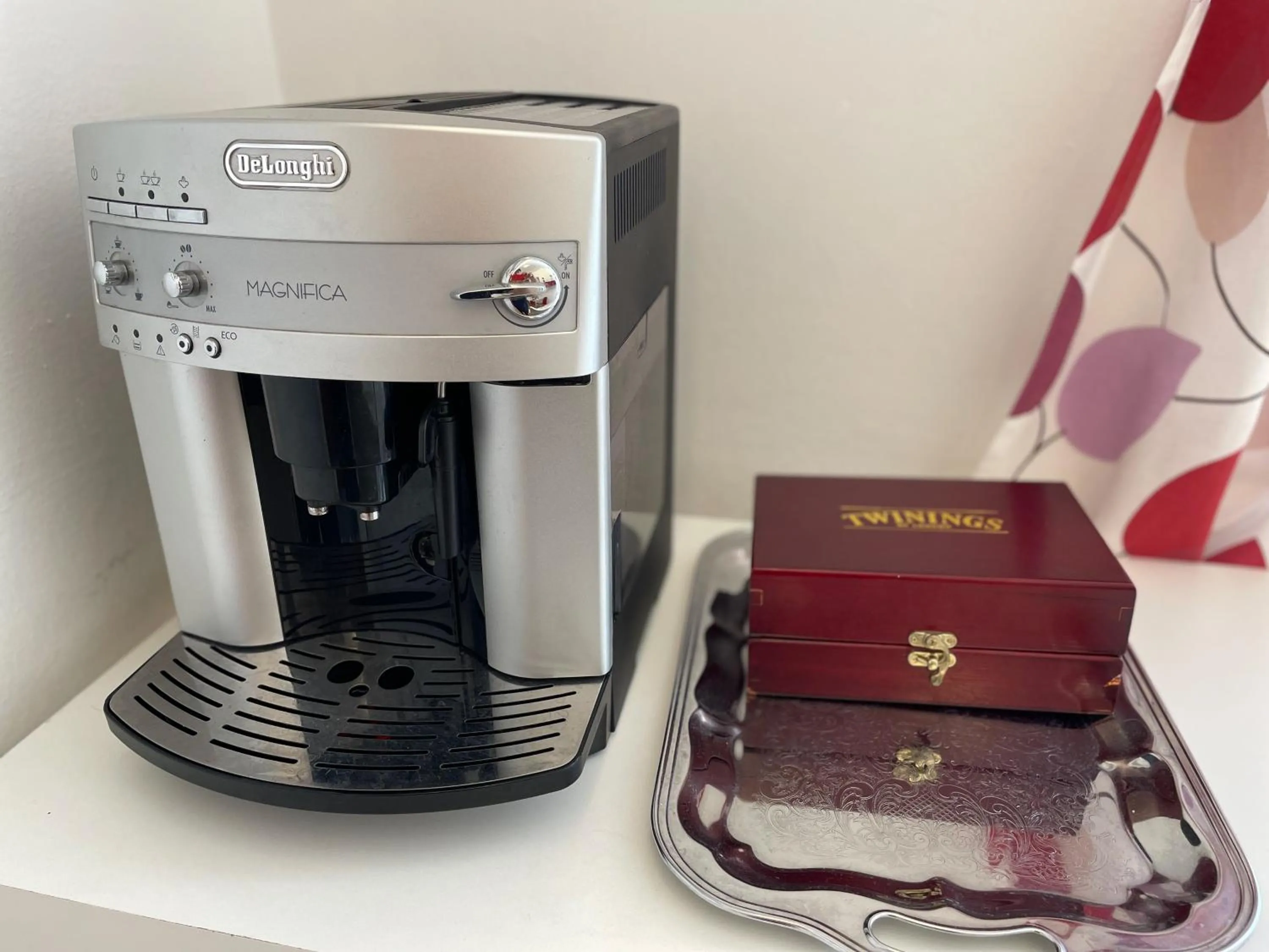 Coffee/tea facilities in Apartment Flora Lobkovic