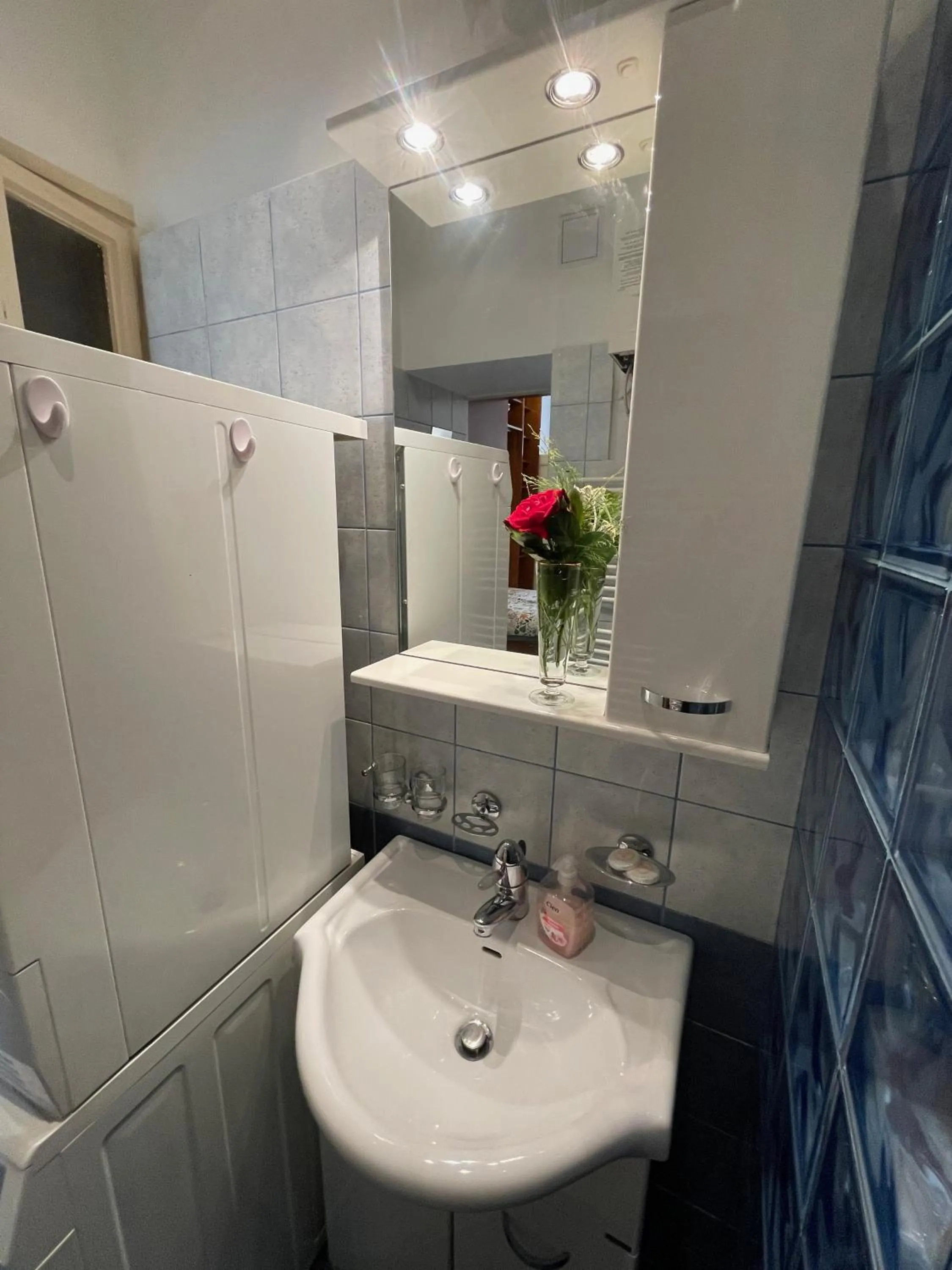Bathroom in Apartment Flora Lobkovic