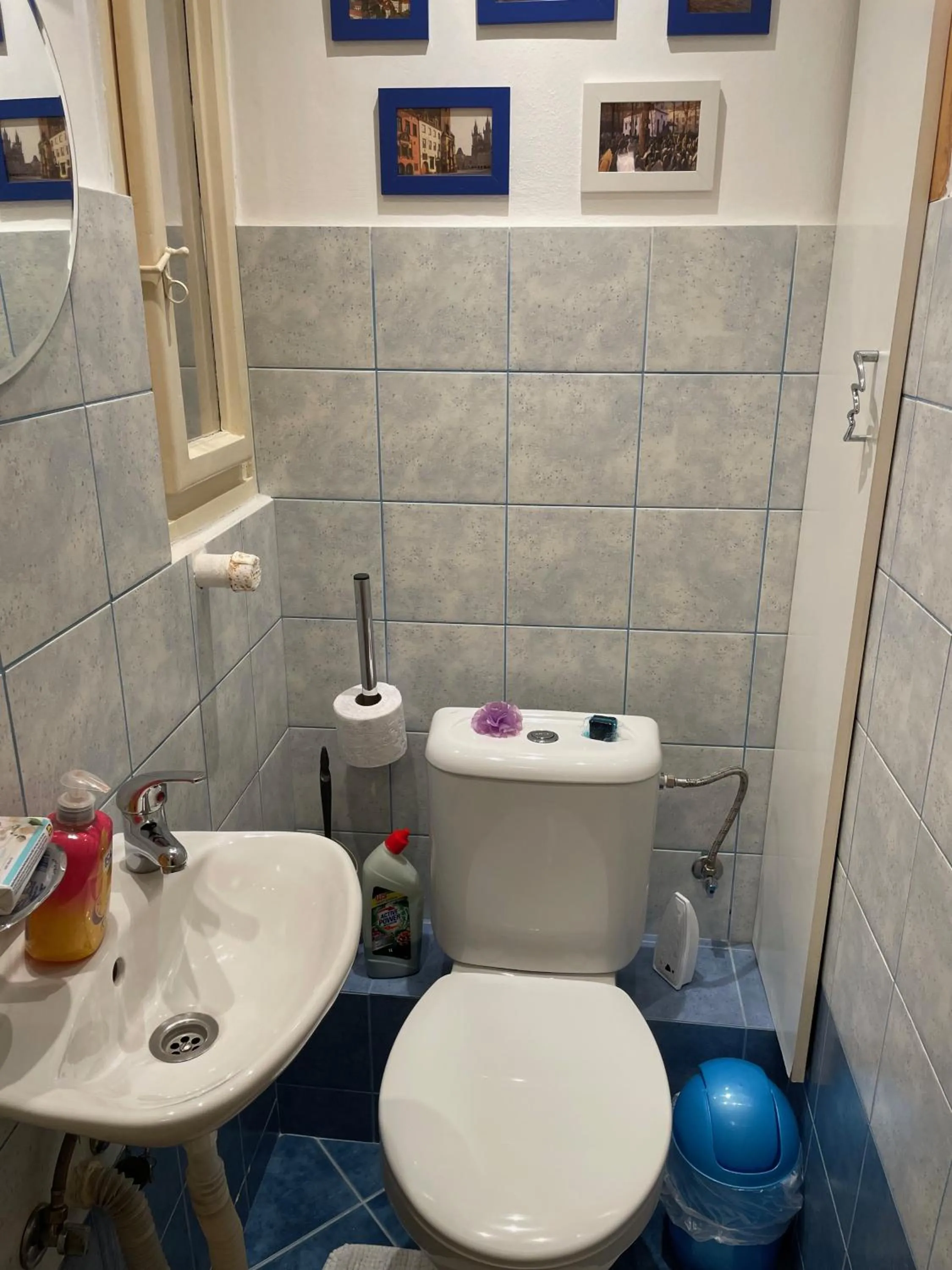 Toilet in Apartment Flora Lobkovic