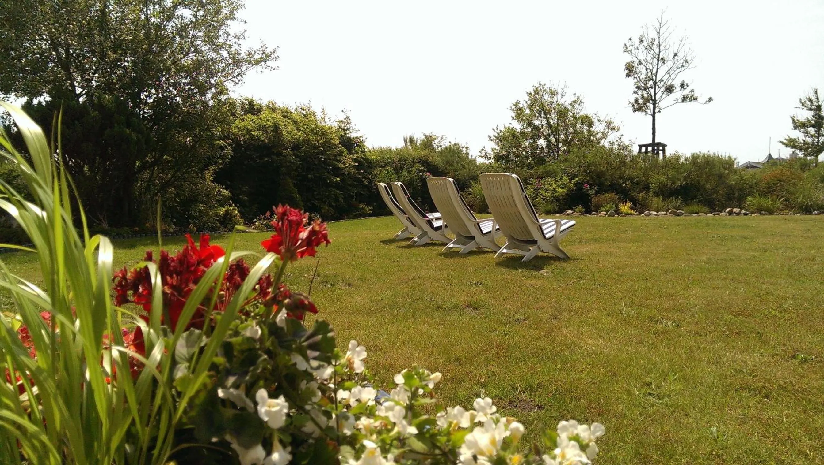 Natural landscape in Hotel Fernsicht