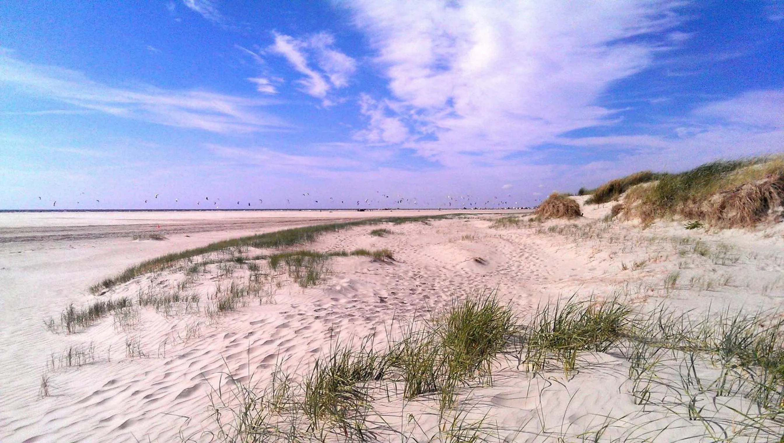 Natural landscape in Hotel Fernsicht