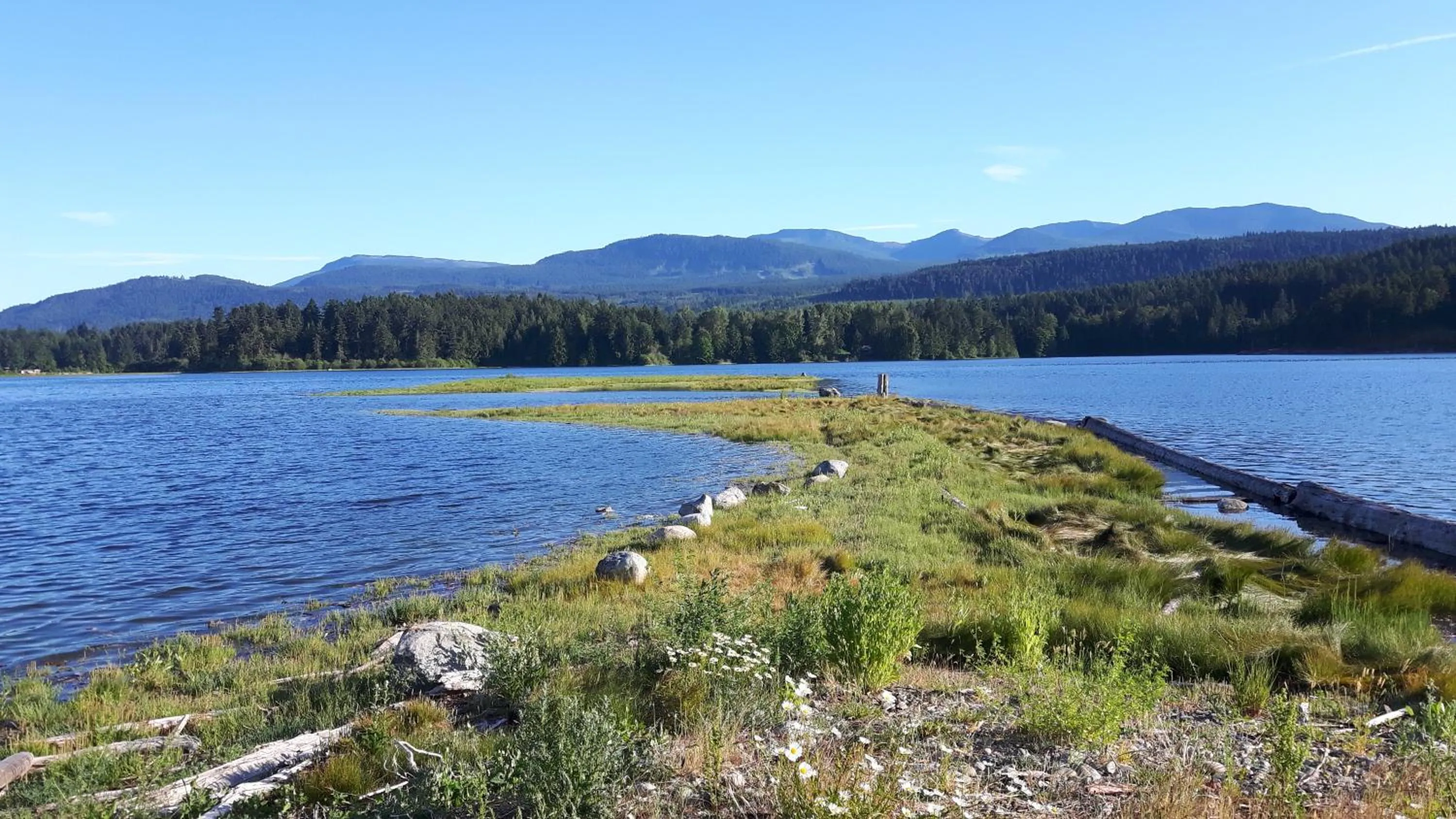 Natural landscape in Kiwi Cove Lodge