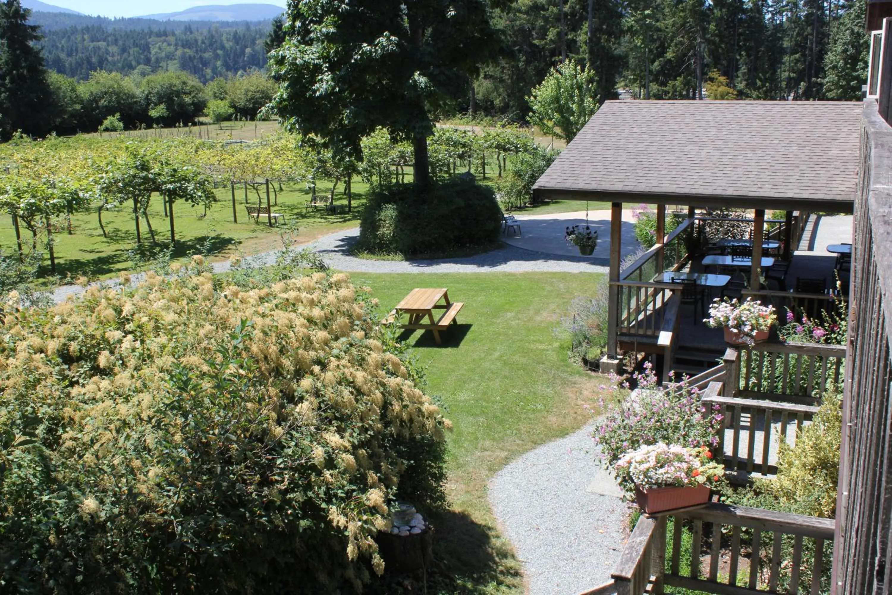 Garden view in Kiwi Cove Lodge