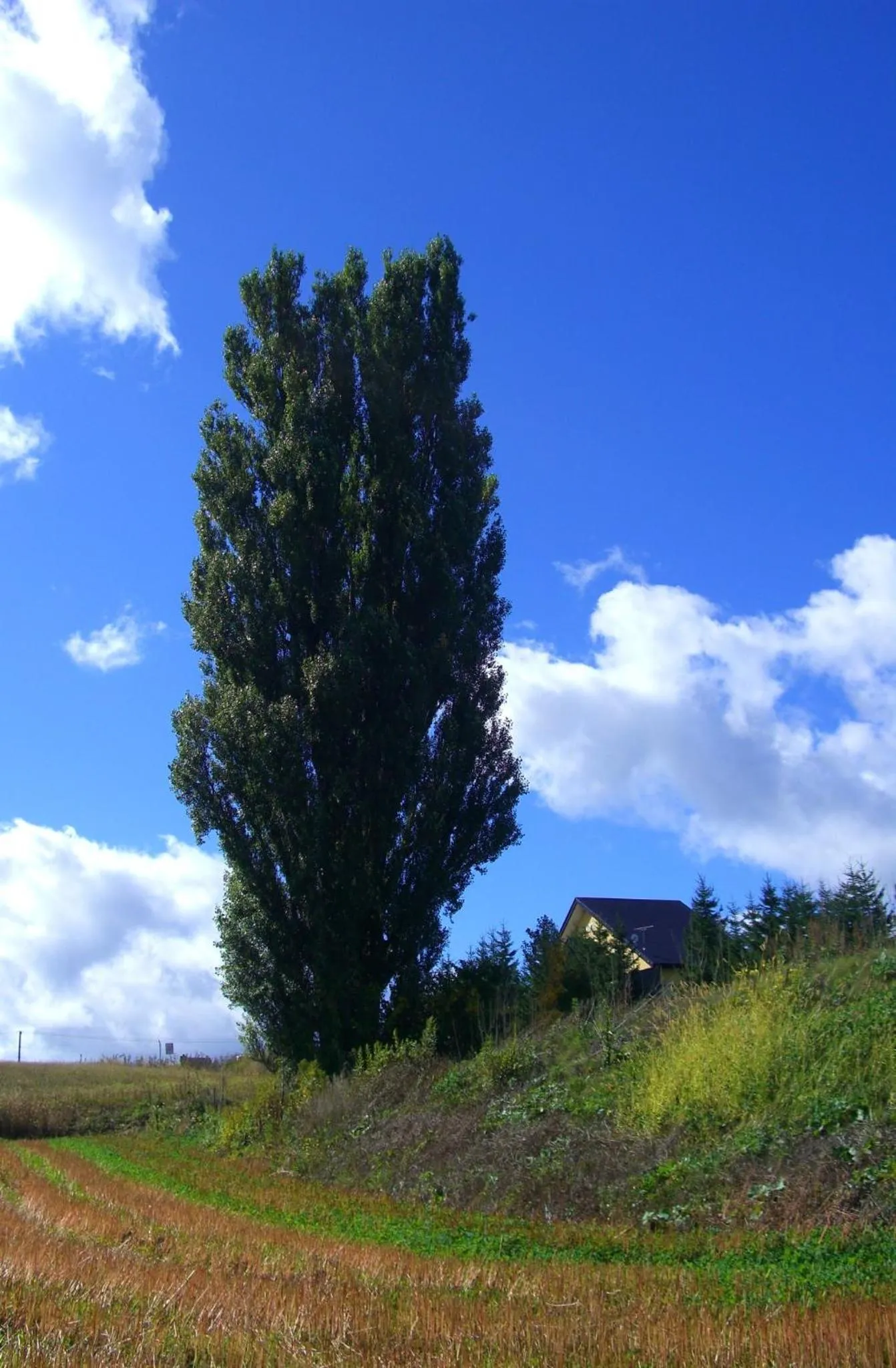 Nearby landmark in B&B Ken&Mary
