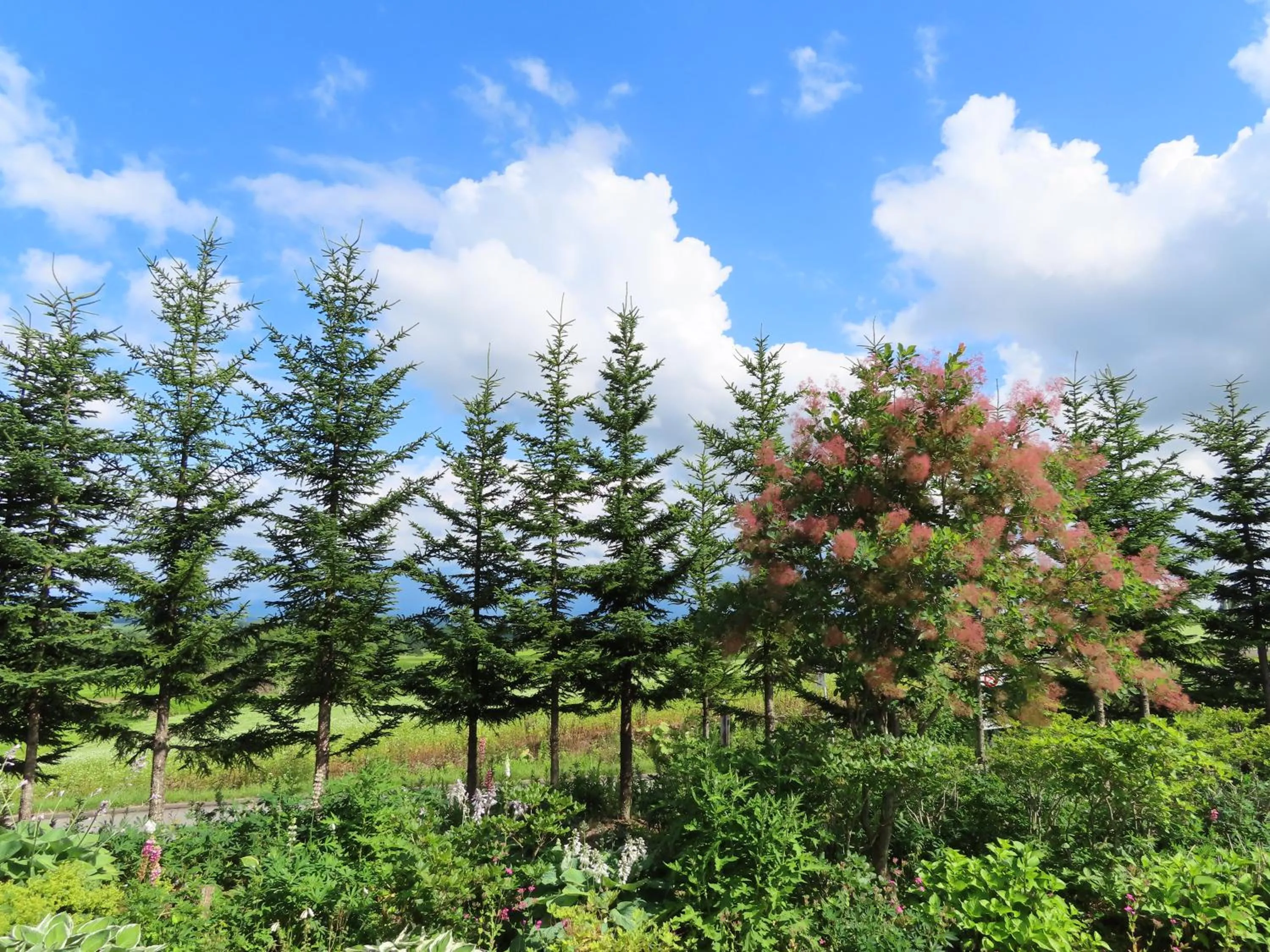 Inner courtyard view in B&B Ken&Mary