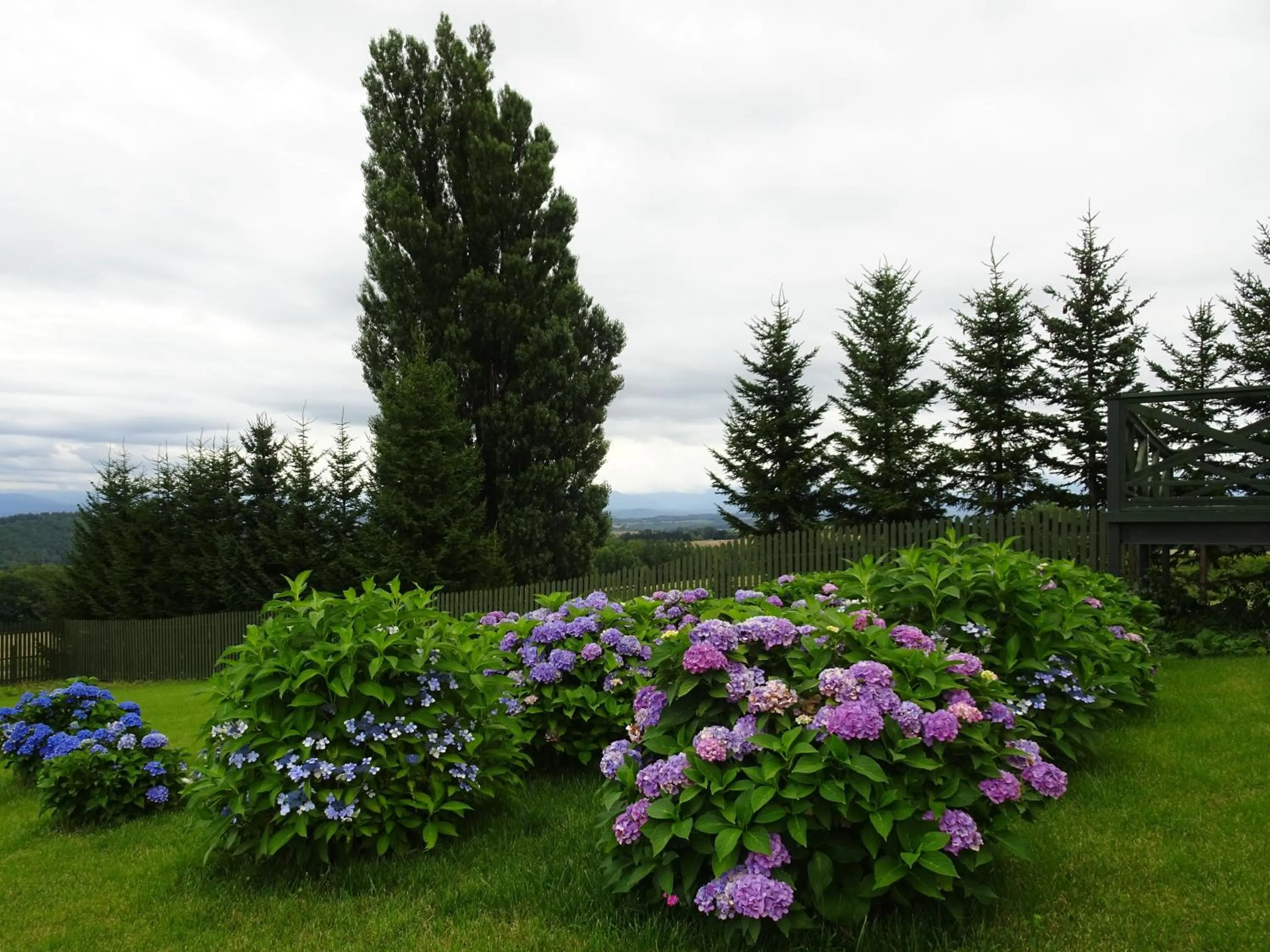 Garden in B&B Ken&Mary