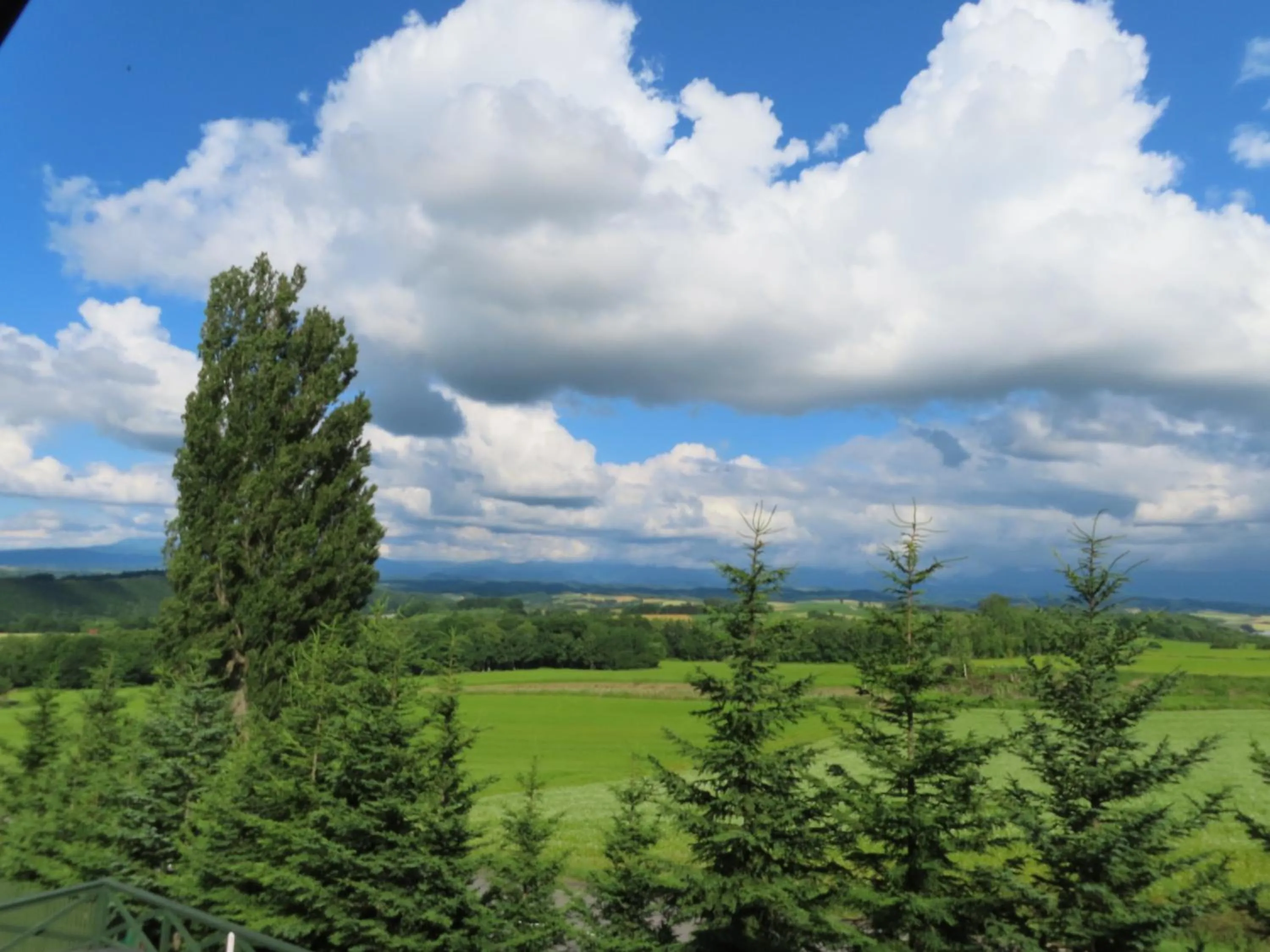 Natural landscape in B&B Ken&Mary
