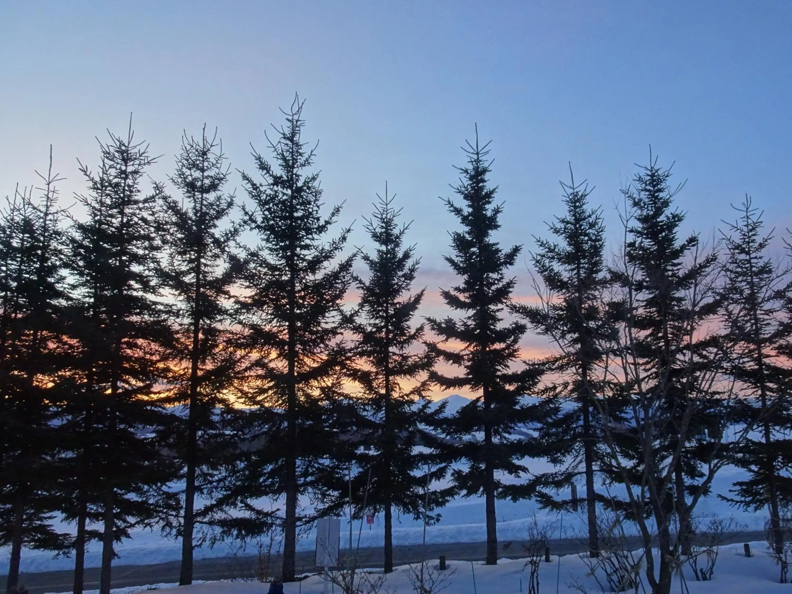 Natural landscape in B&B Ken&Mary