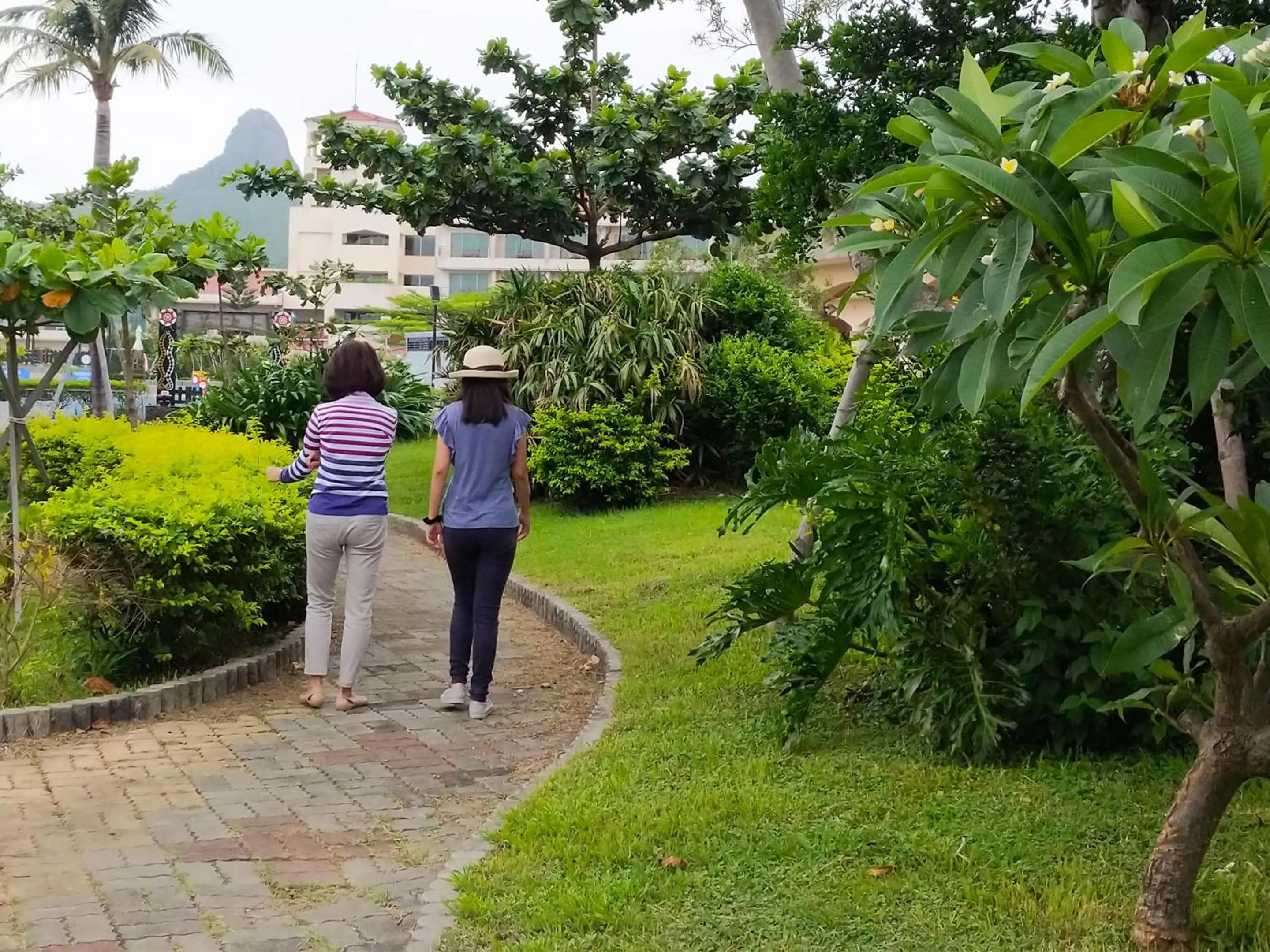 Garden in Howard Kenting Wonder House