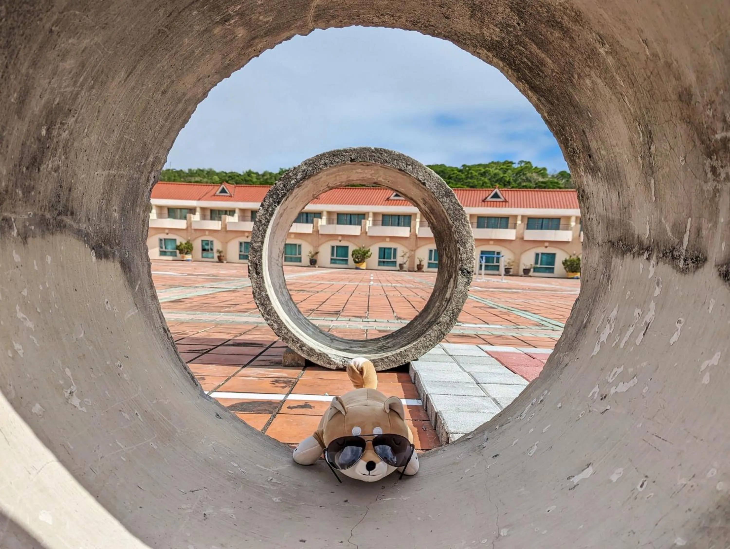 Pets in Howard Kenting Wonder House