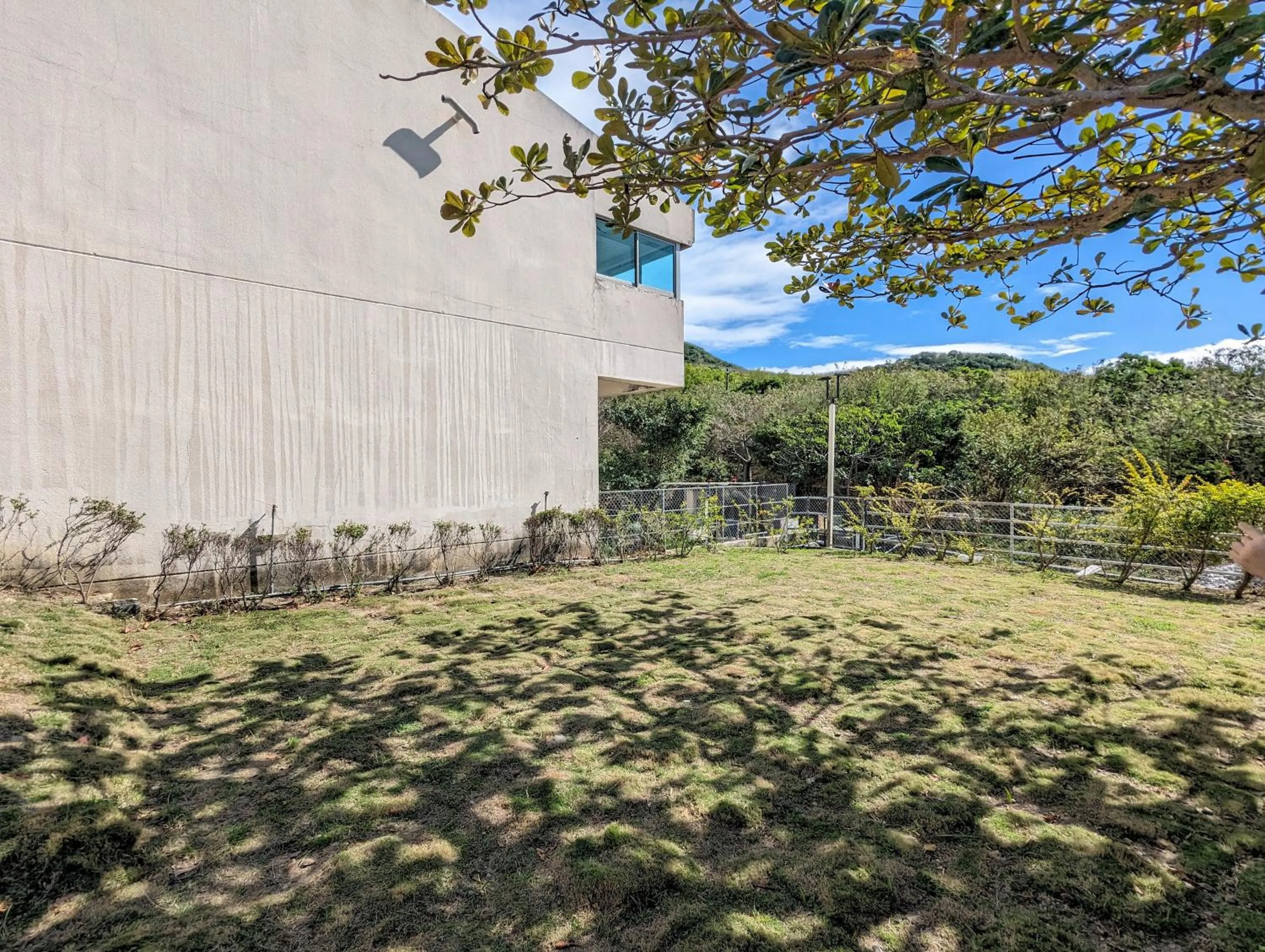 Pets in Howard Kenting Wonder House