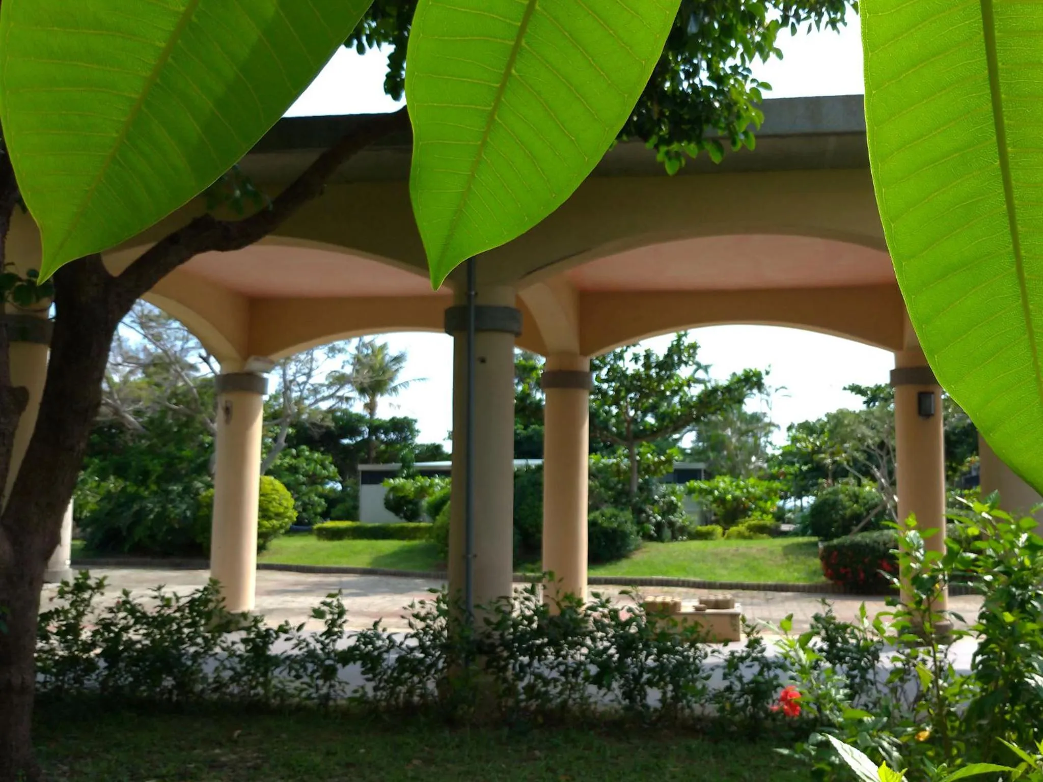 Garden view in Howard Kenting Wonder House