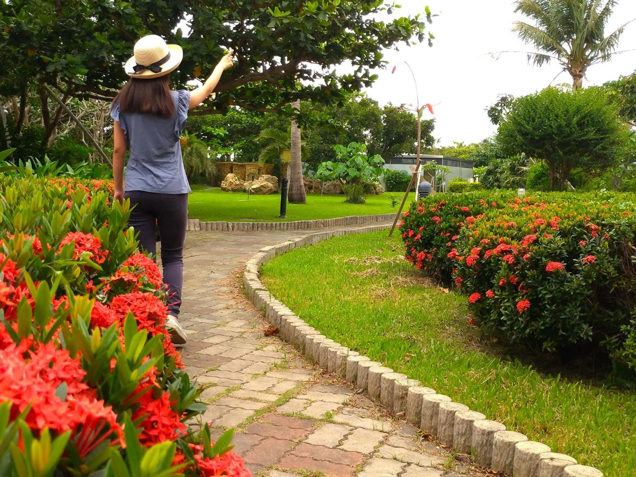 Garden in Howard Kenting Wonder House