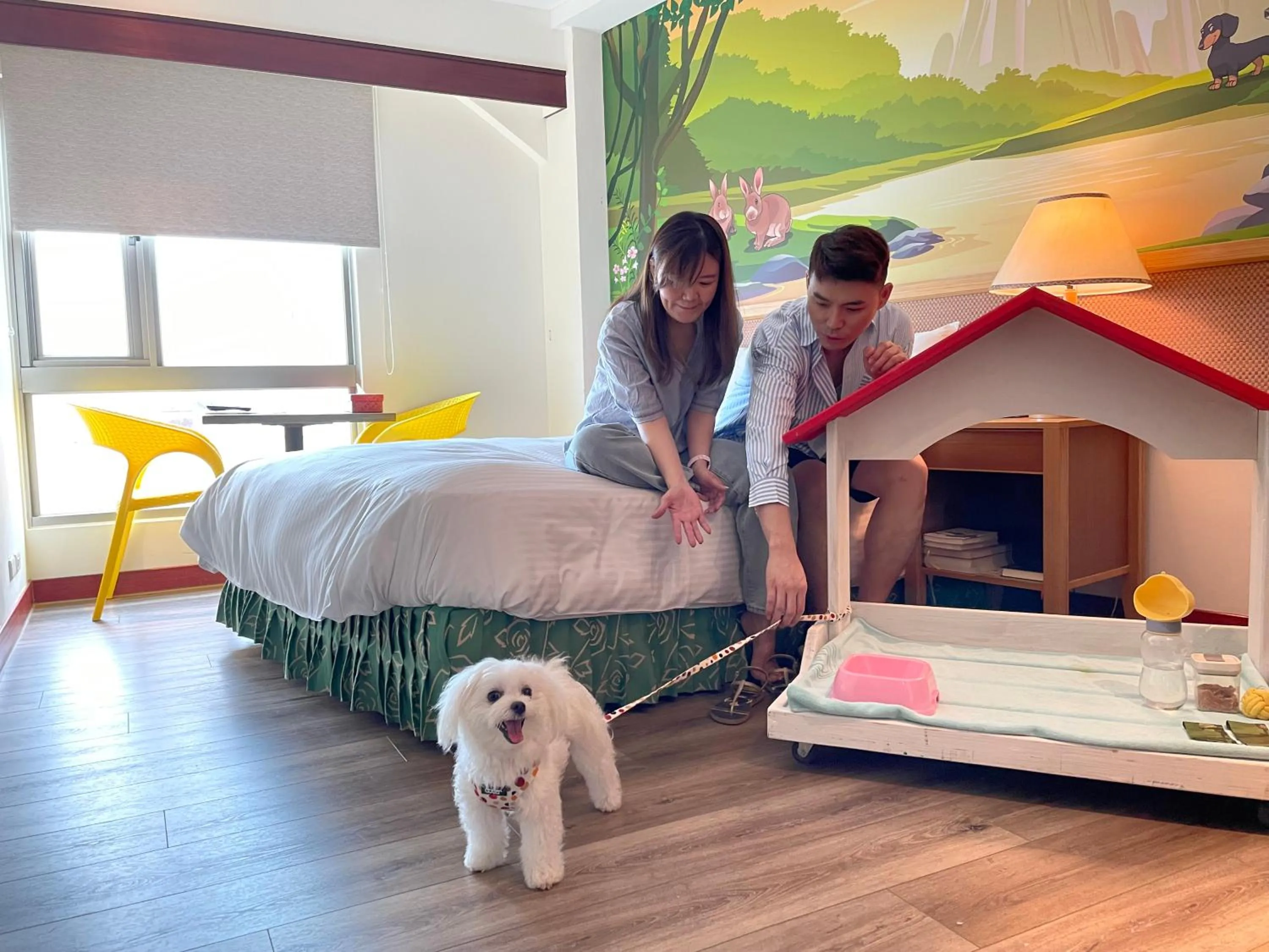 Photo of the whole room in Howard Kenting Wonder House