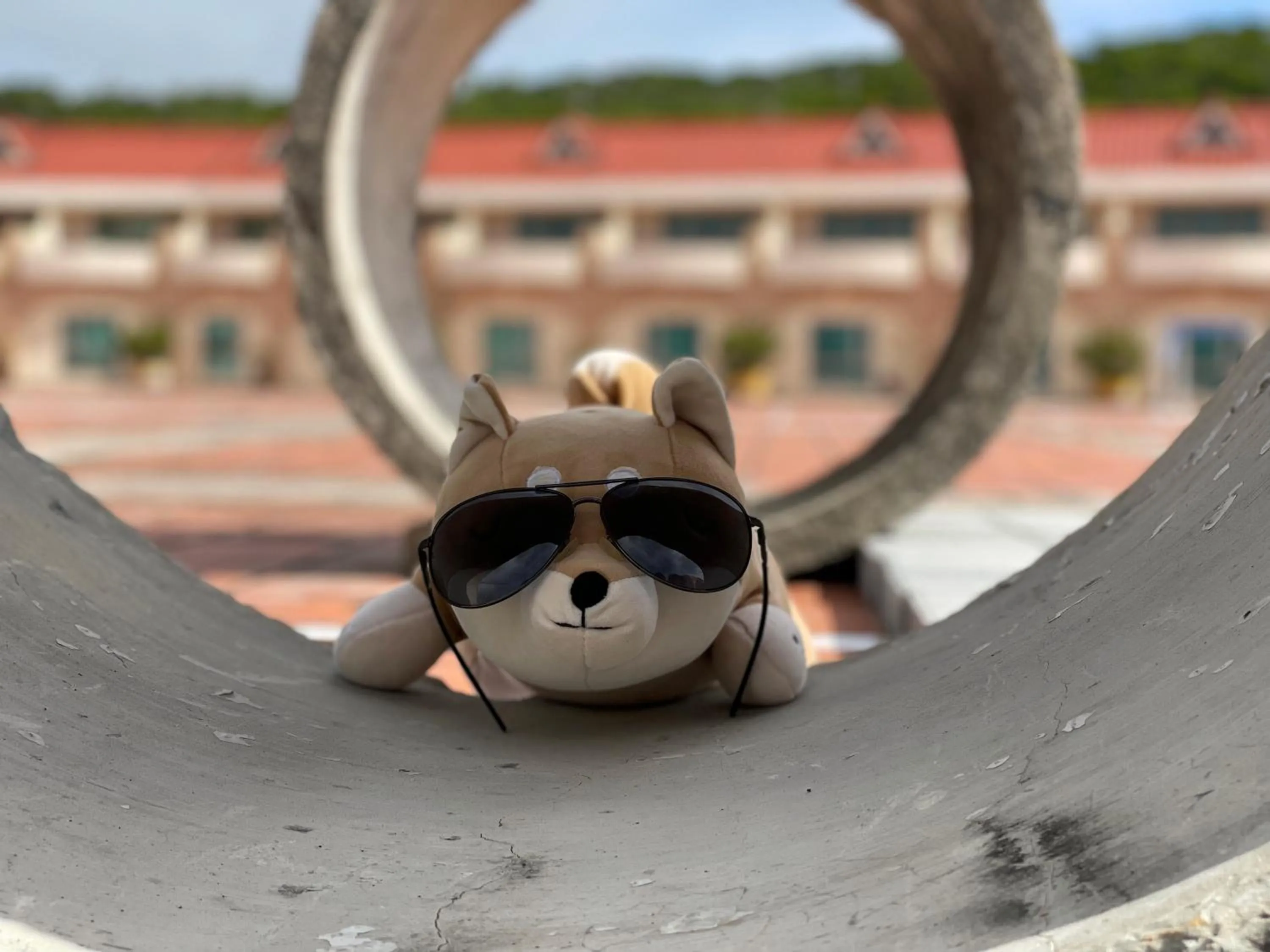 Animals in Howard Kenting Wonder House