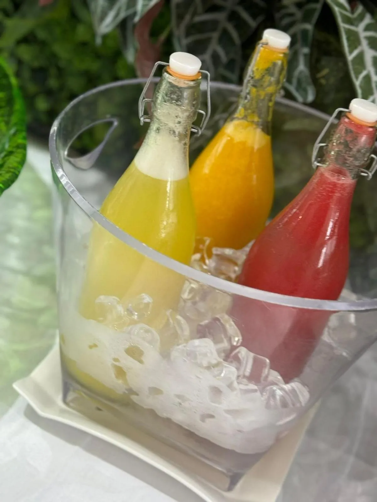 Drinks in Hotel Florença