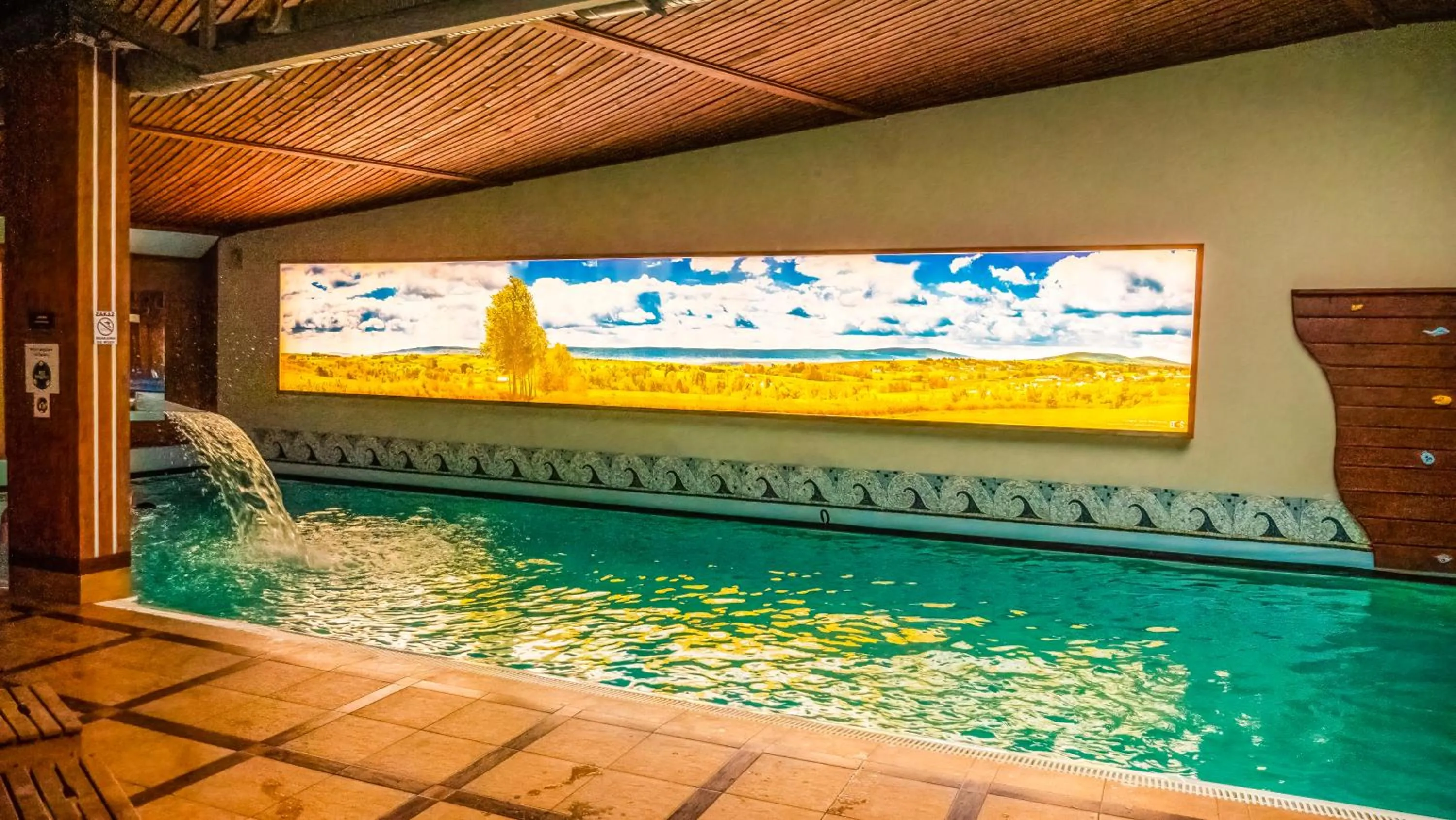 Swimming pool in Hotel Senator Konferencje & SPA