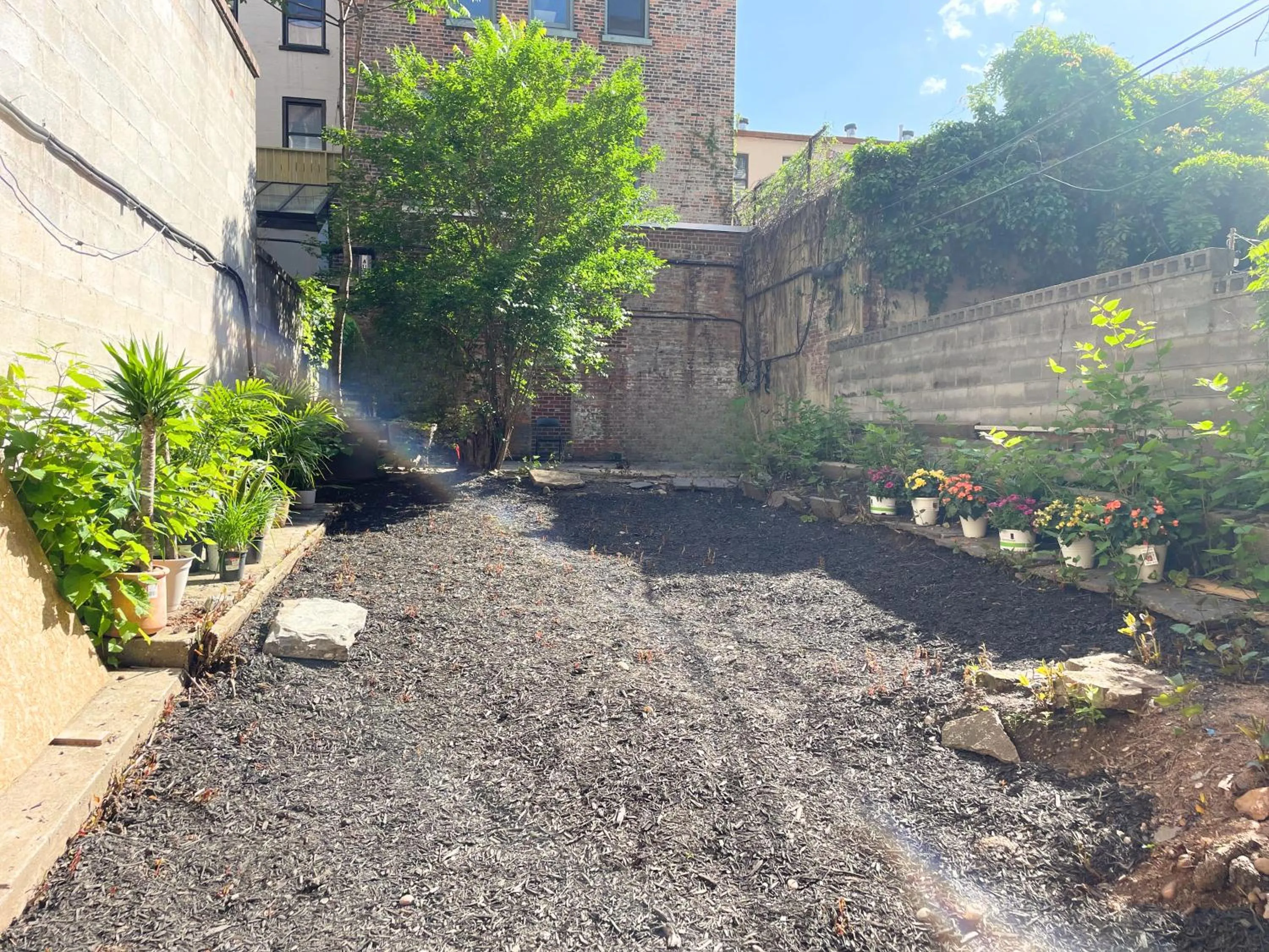 Garden in Interfaith 21st Street