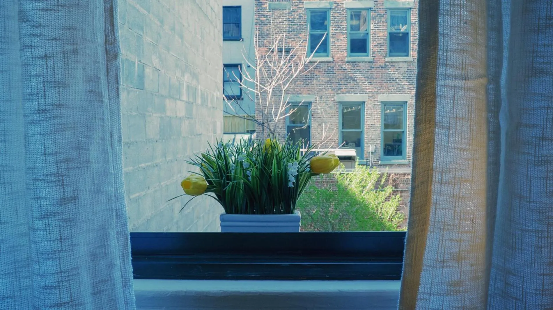 Garden view in Interfaith 21st Street