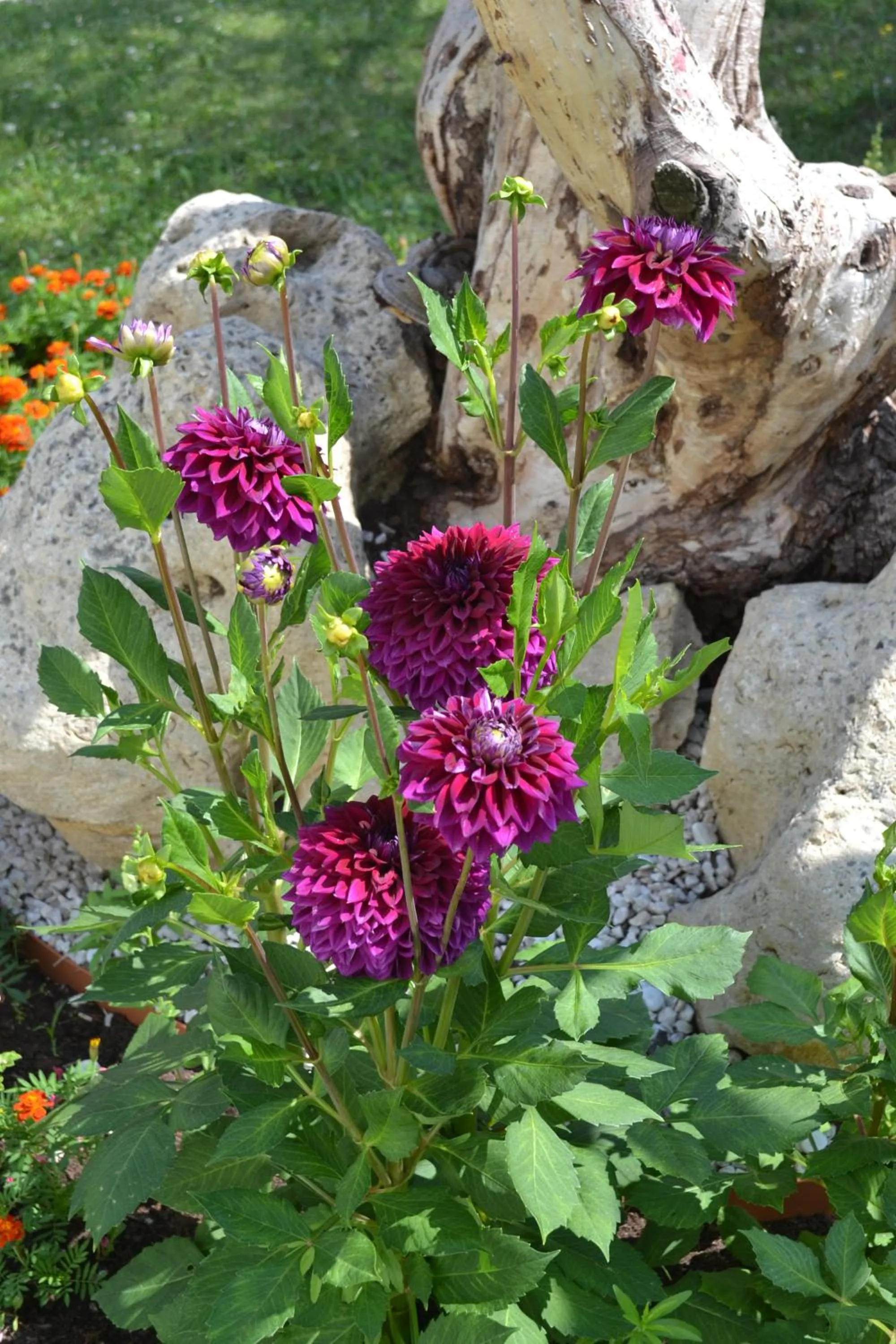 Staff in Hôtel Formules Club 2