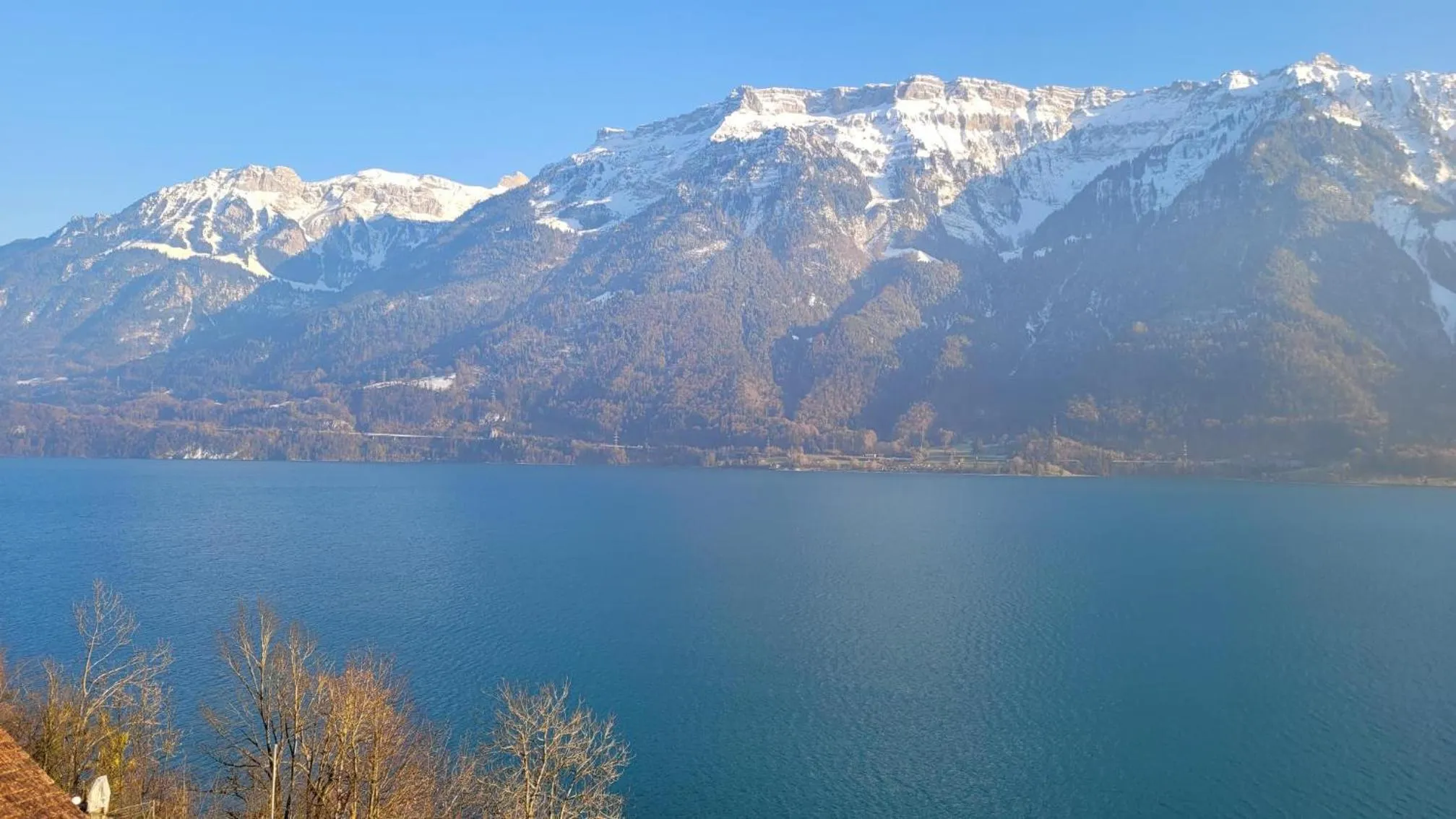 Natural landscape in Alpina Boutique Hotel Interlaken - Ringgenberg - Adults only !