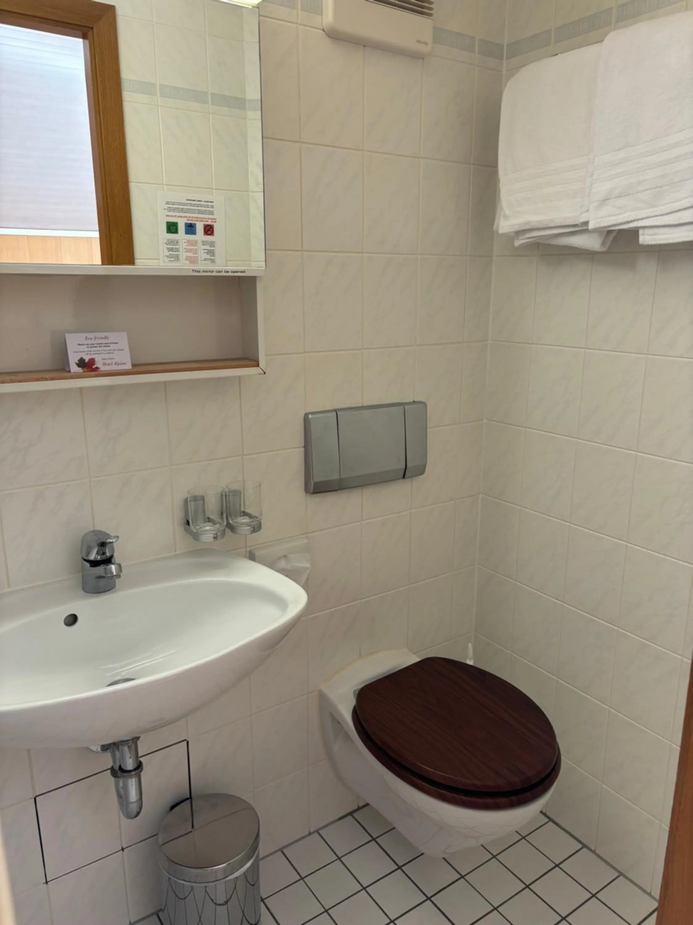 Bathroom in Alpina Boutique Hotel Interlaken - Ringgenberg - Adults only !