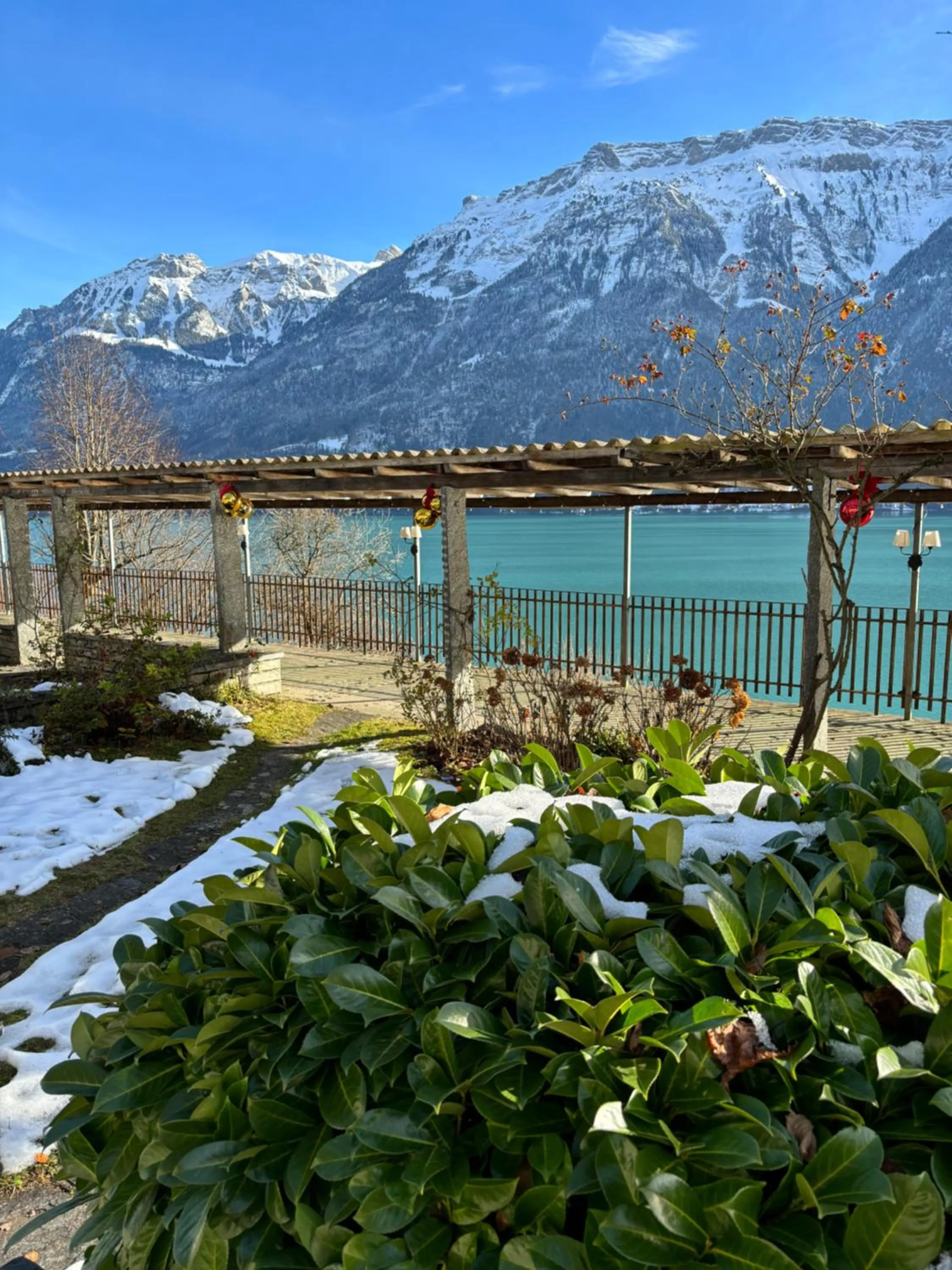 Winter in Alpina Boutique Hotel Interlaken - Ringgenberg - Adults only !