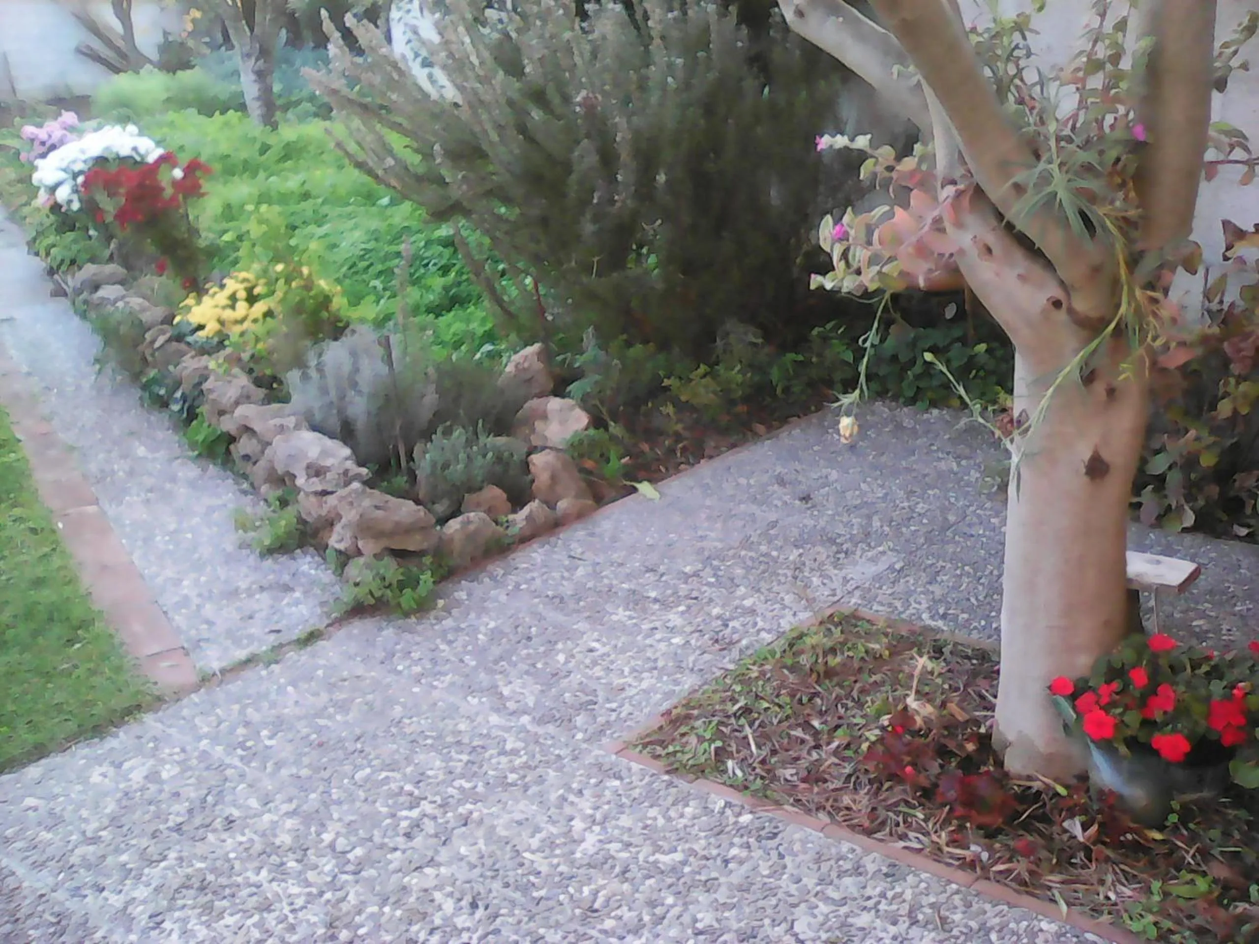 Property building in Casa Iovara