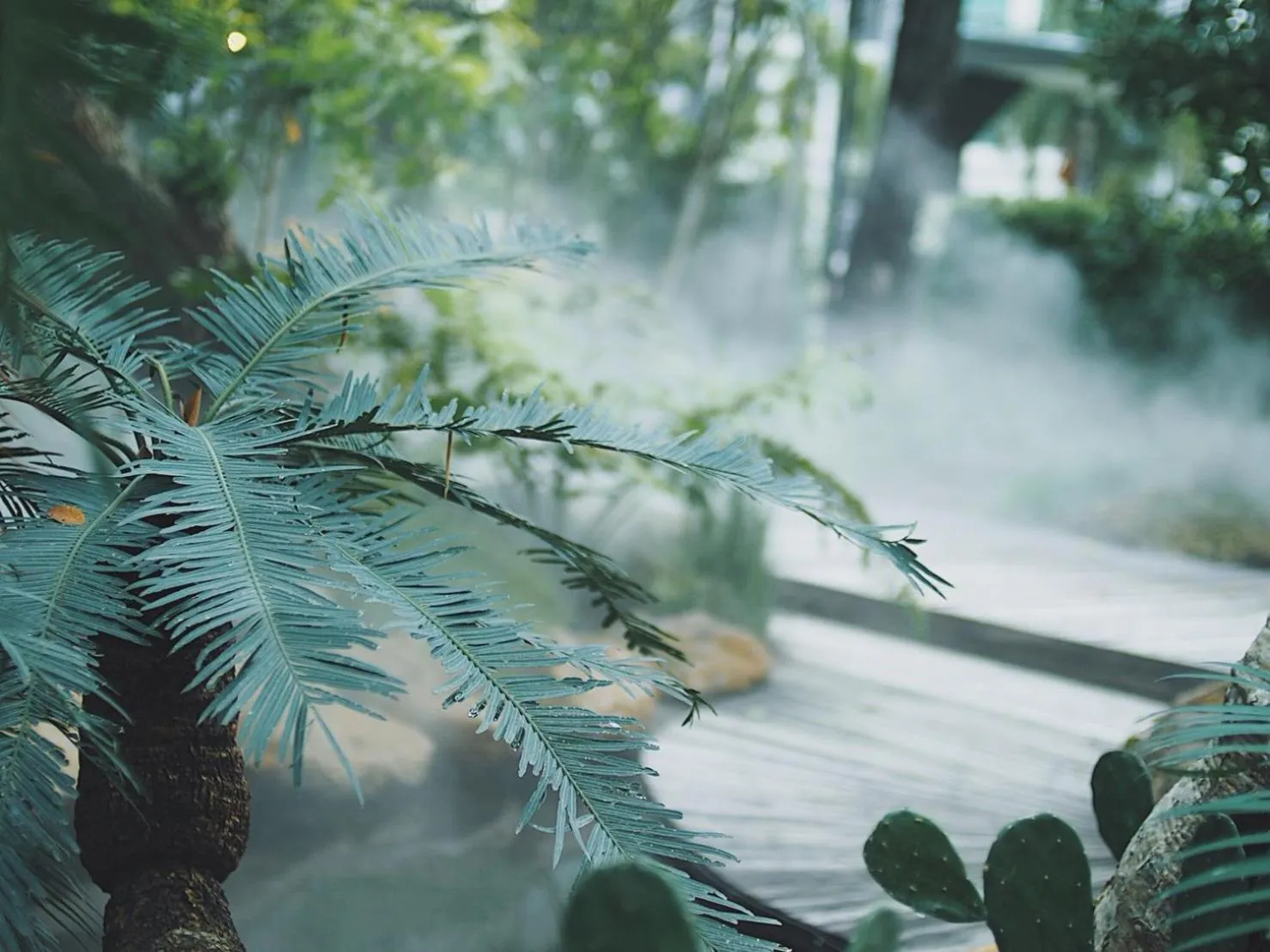 Natural landscape in Interpark Hotel & Residence, Eastern Seaboard Rayong