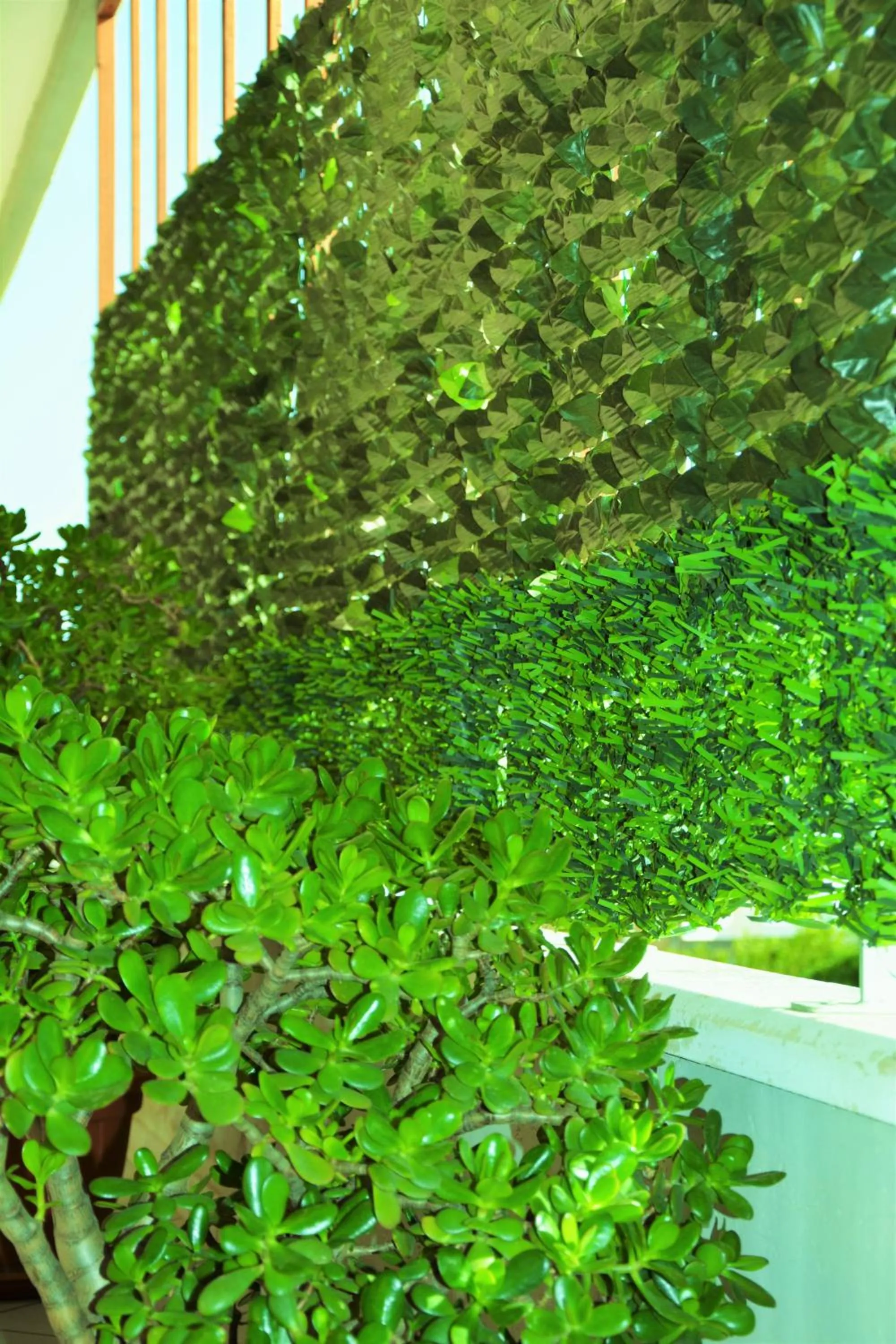 Balcony/Terrace in Salenterra B&B (Salento)