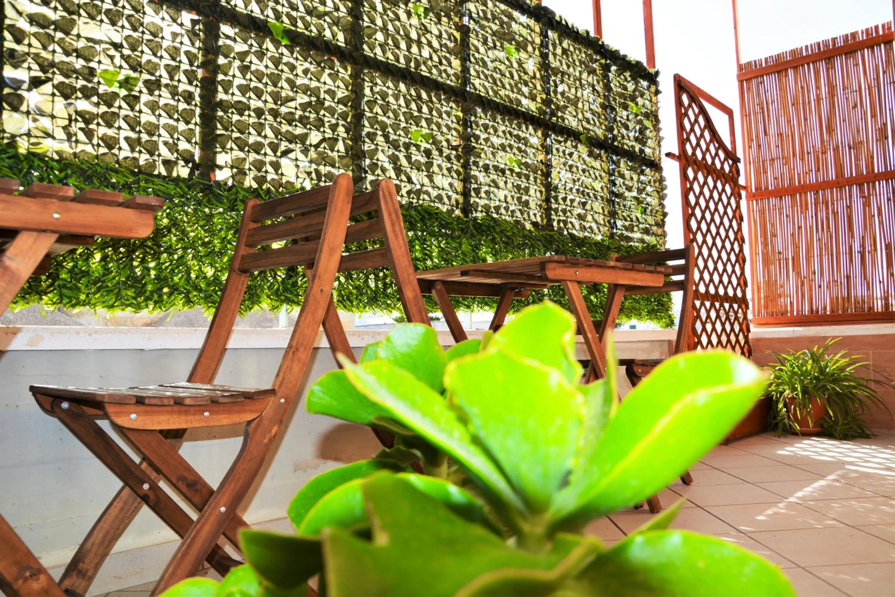 Balcony/Terrace in Salenterra B&B (Salento)