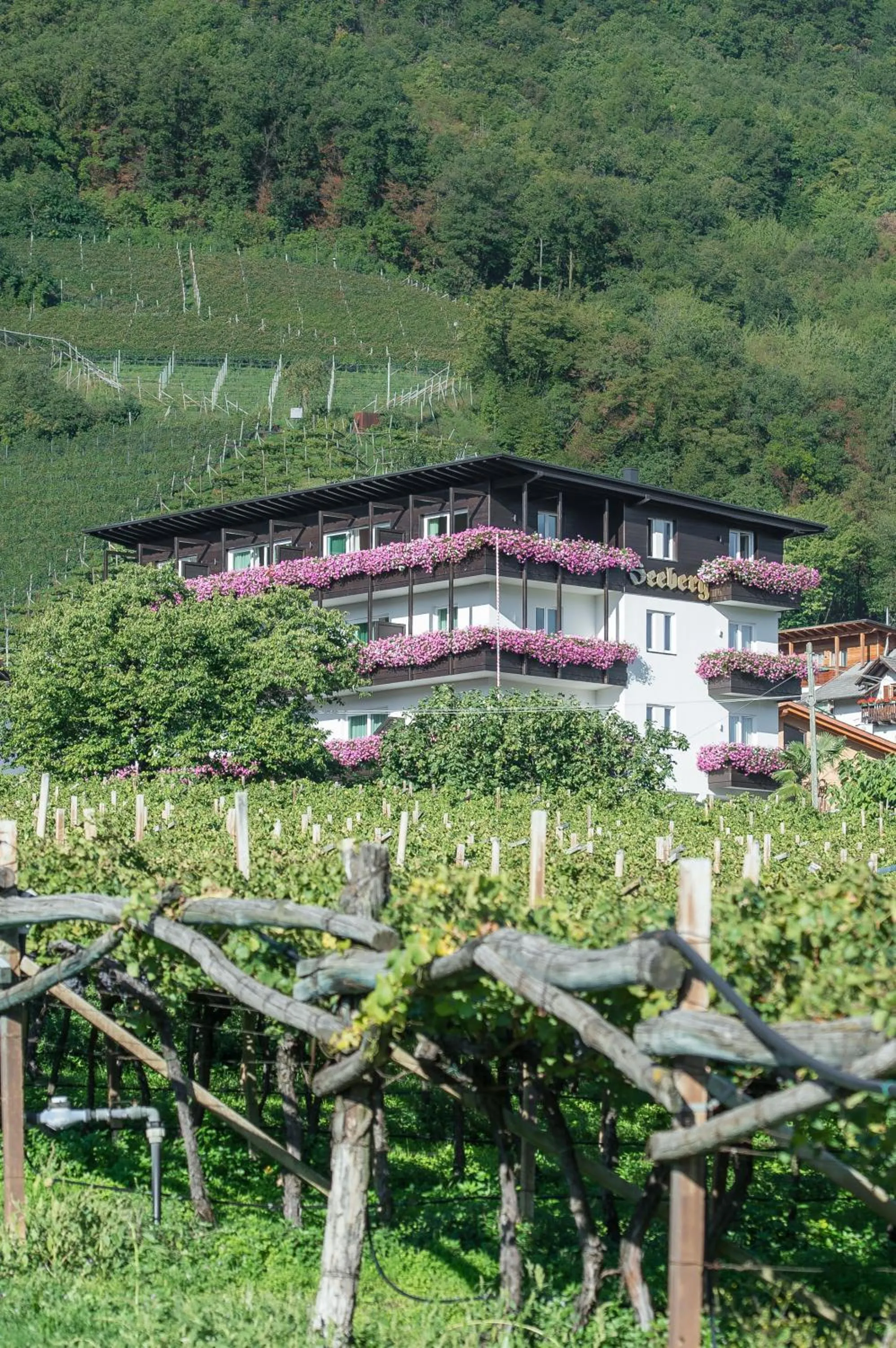 Property building in Seeberg Garni Hotel