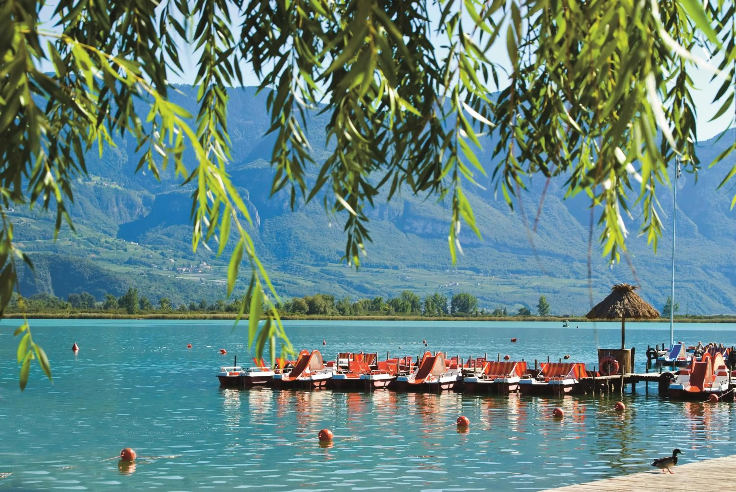 Lake view in Seeberg Garni Hotel