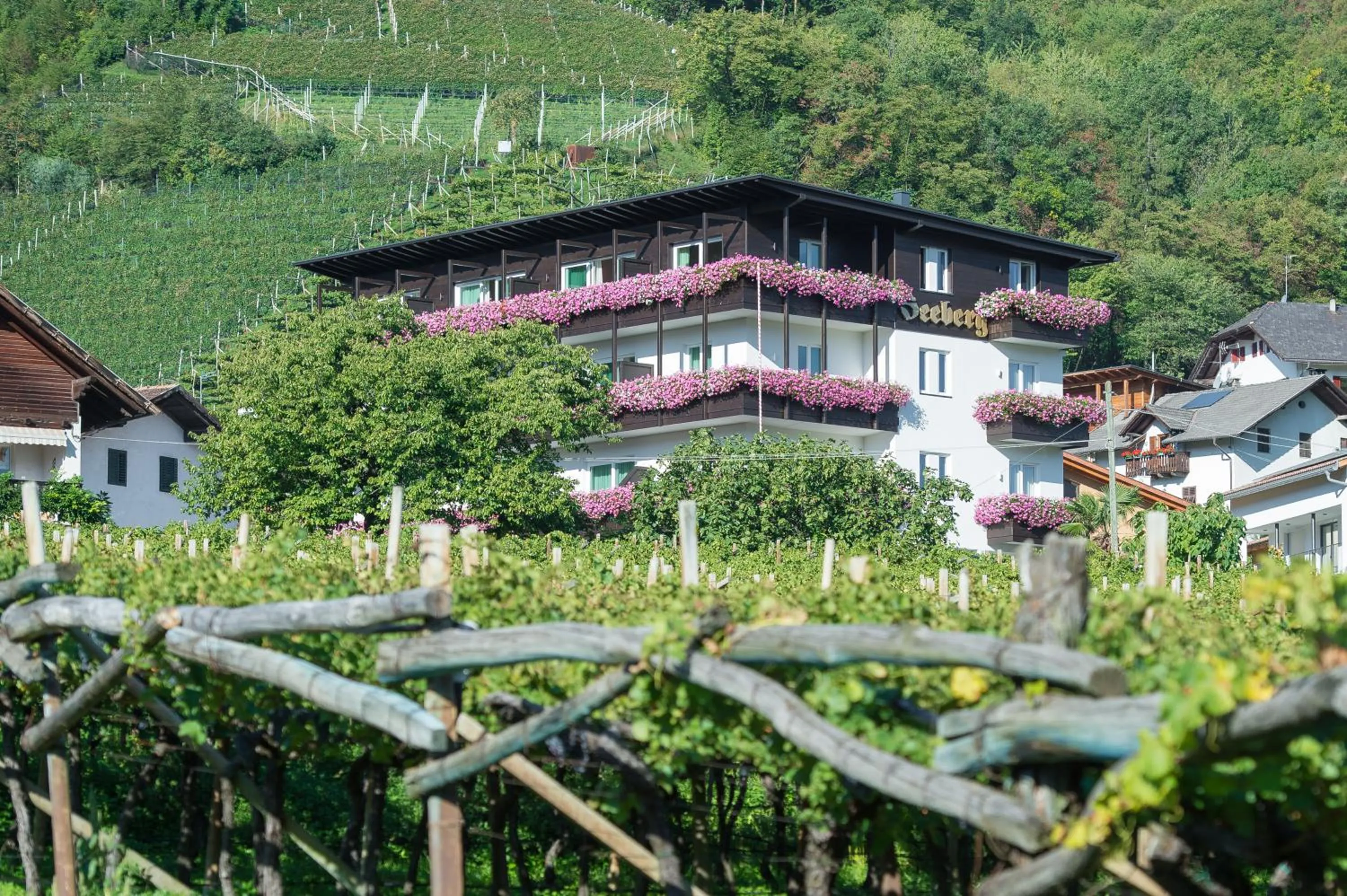 Natural landscape in Seeberg Garni Hotel