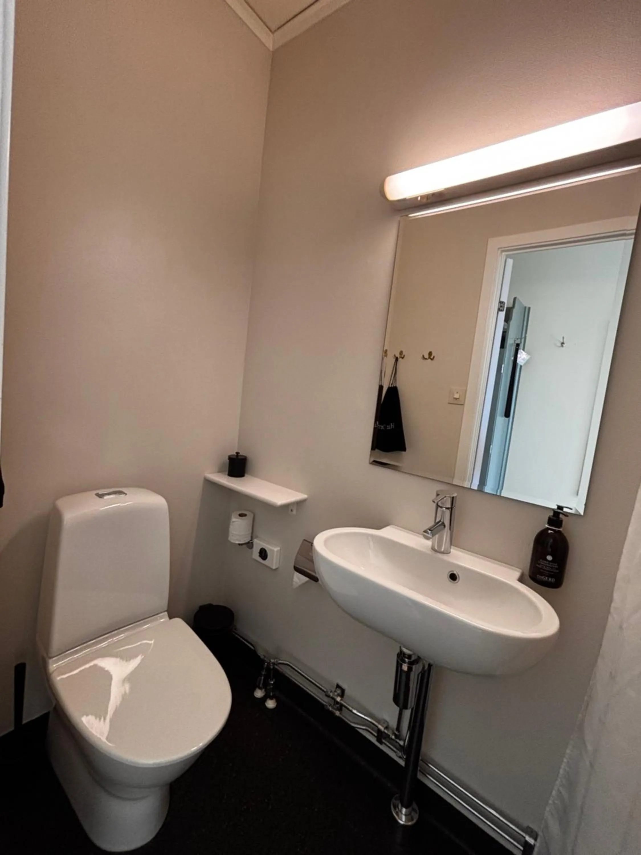 Toilet in Färna Herrgård & Spa