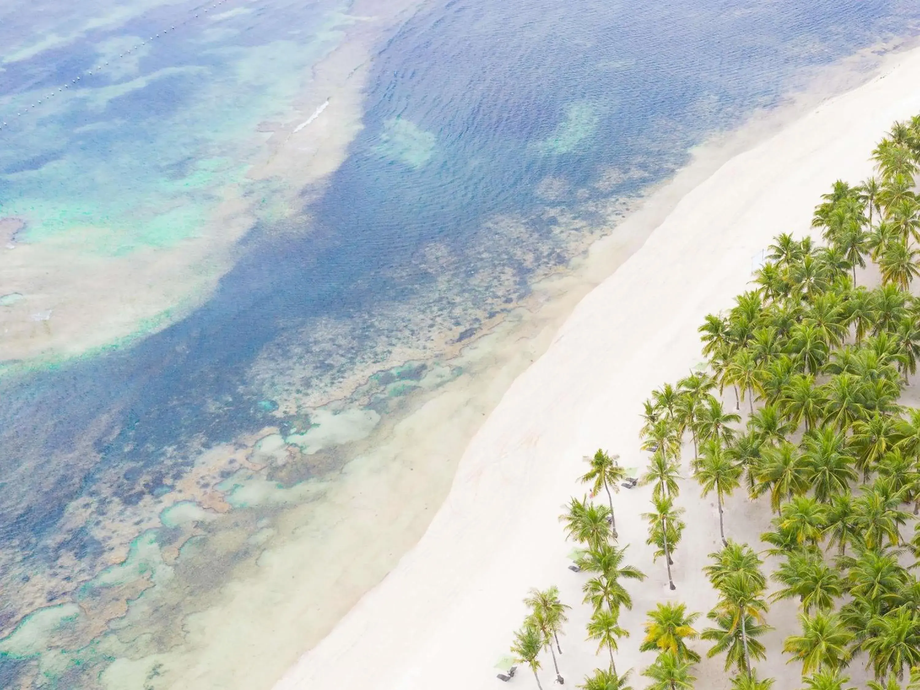 South Palms Resort and Spa Panglao - MGallery Collection South Palms Resort and Spa Panglao - MGallery Collection