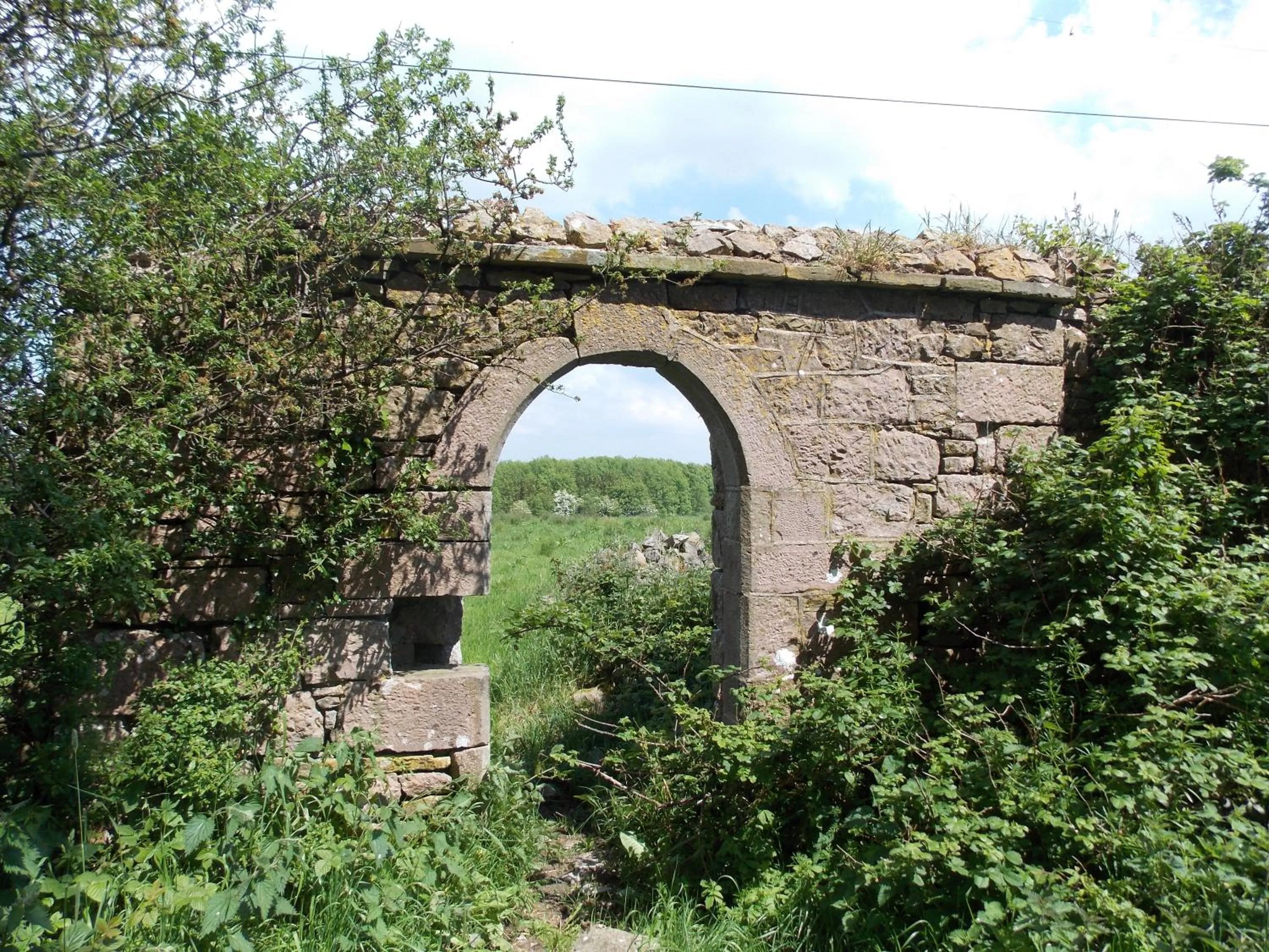 Garden in Ash Hill B & B