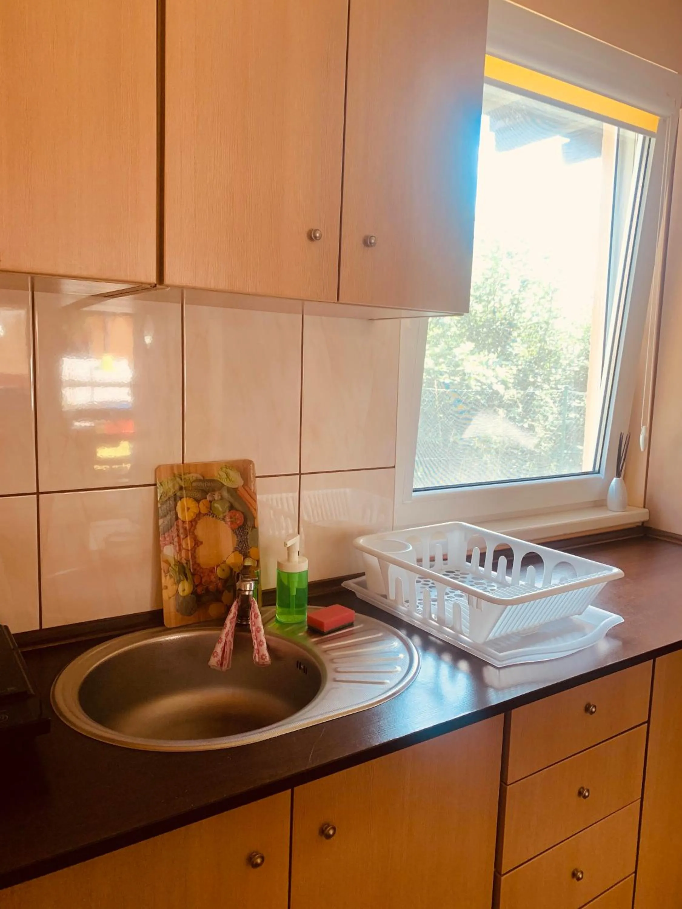 Kitchen or kitchenette in Ośrodek Wczasowy Belona - BON TURYSTYCZNY