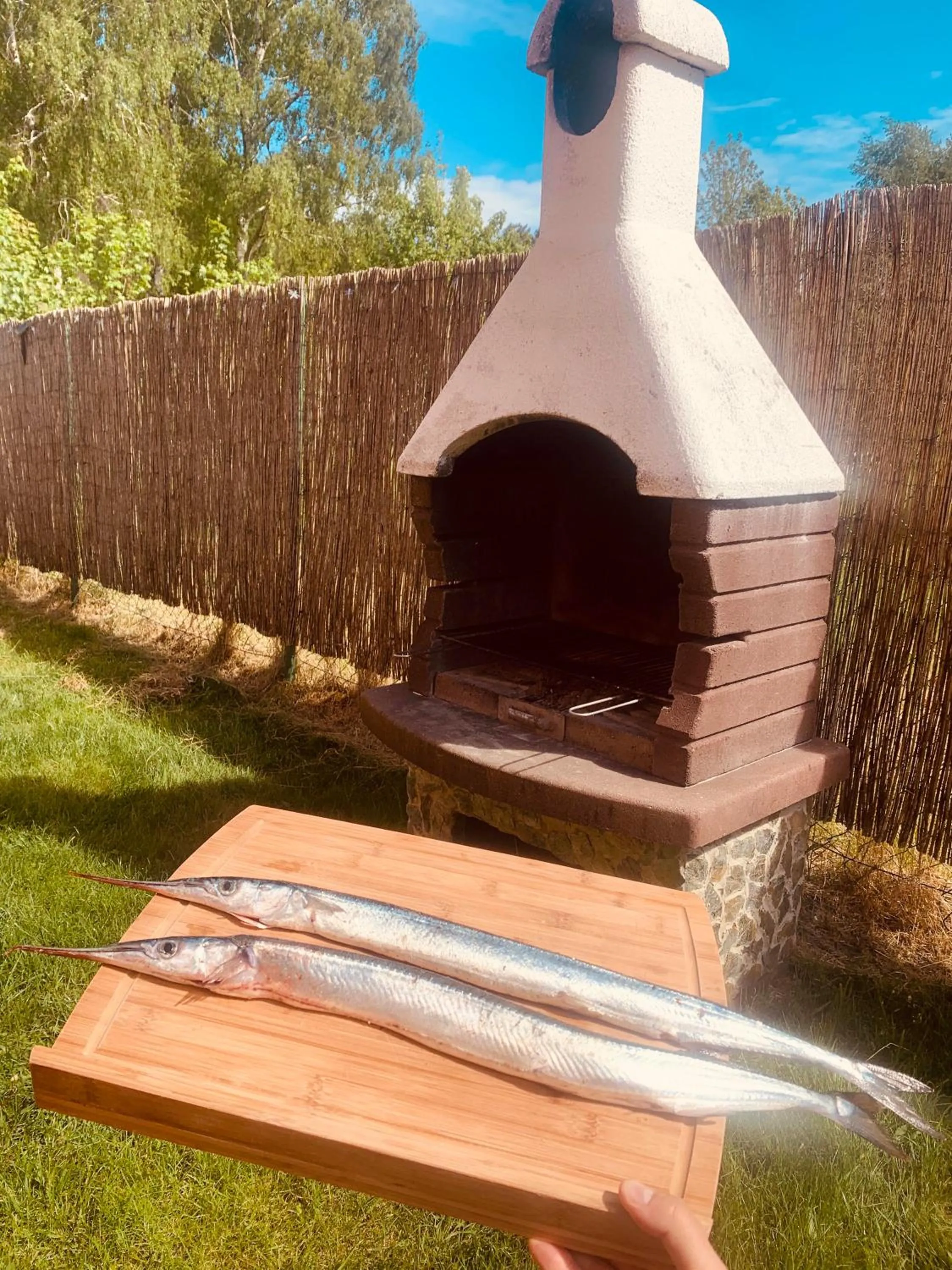 BBQ facilities in Ośrodek Wczasowy Belona - BON TURYSTYCZNY