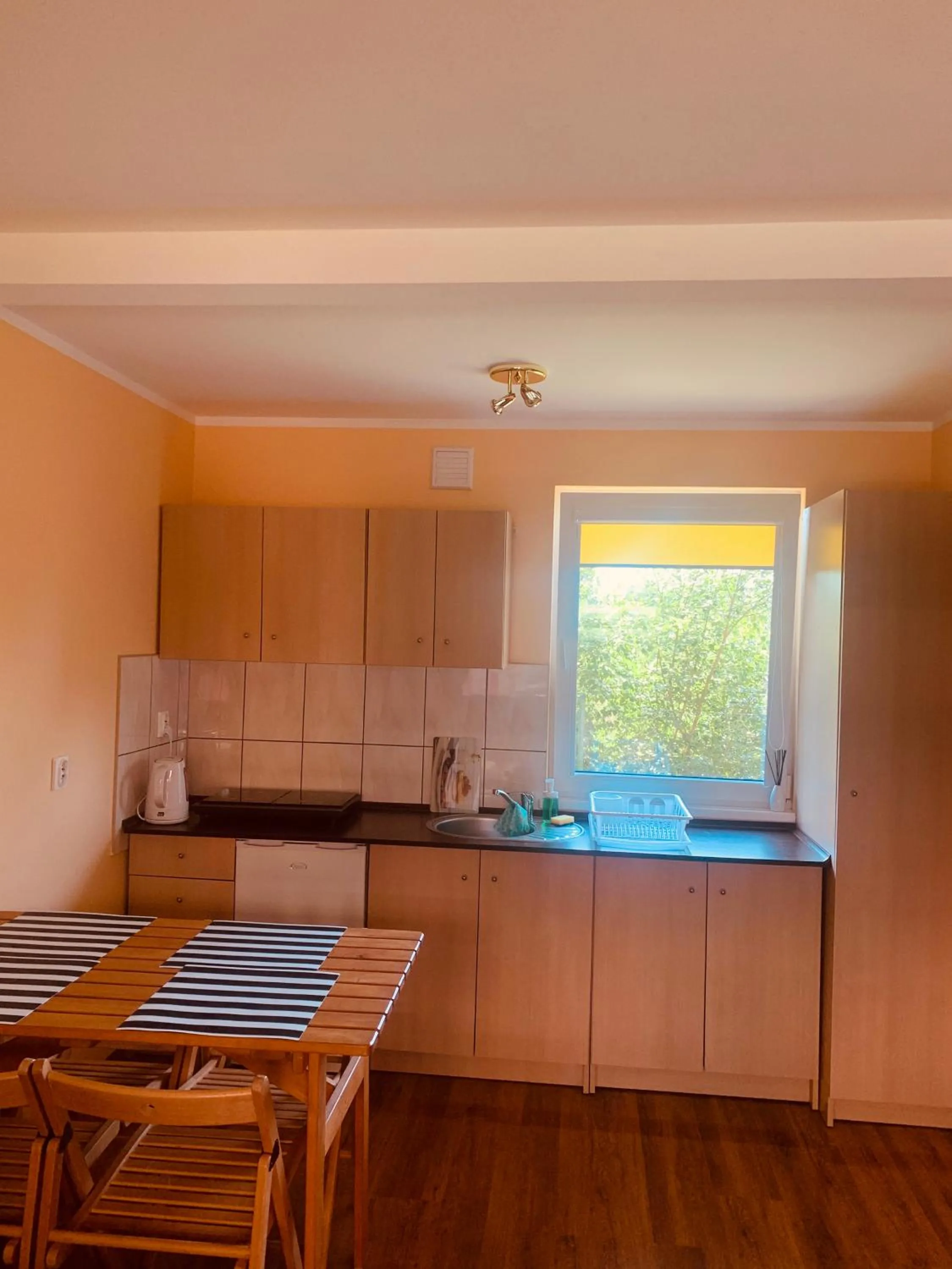 Kitchen or kitchenette in Ośrodek Wczasowy Belona - BON TURYSTYCZNY