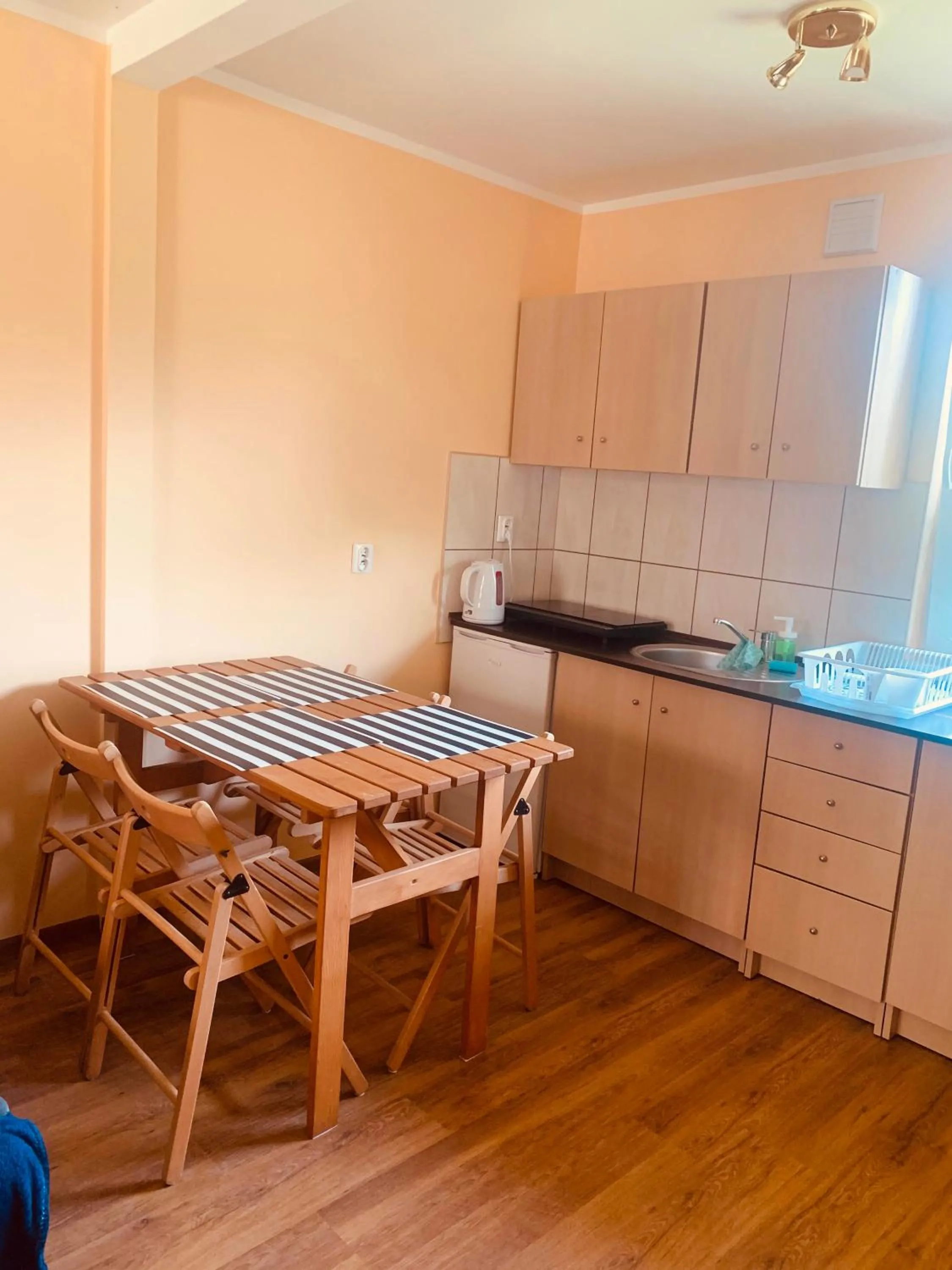 Kitchen or kitchenette in Ośrodek Wczasowy Belona - BON TURYSTYCZNY