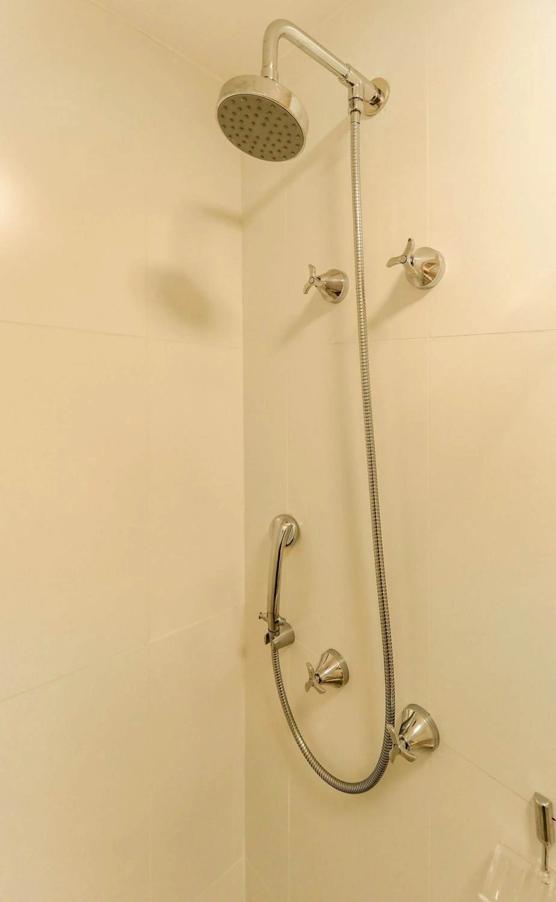 Toilet in Composite Moema