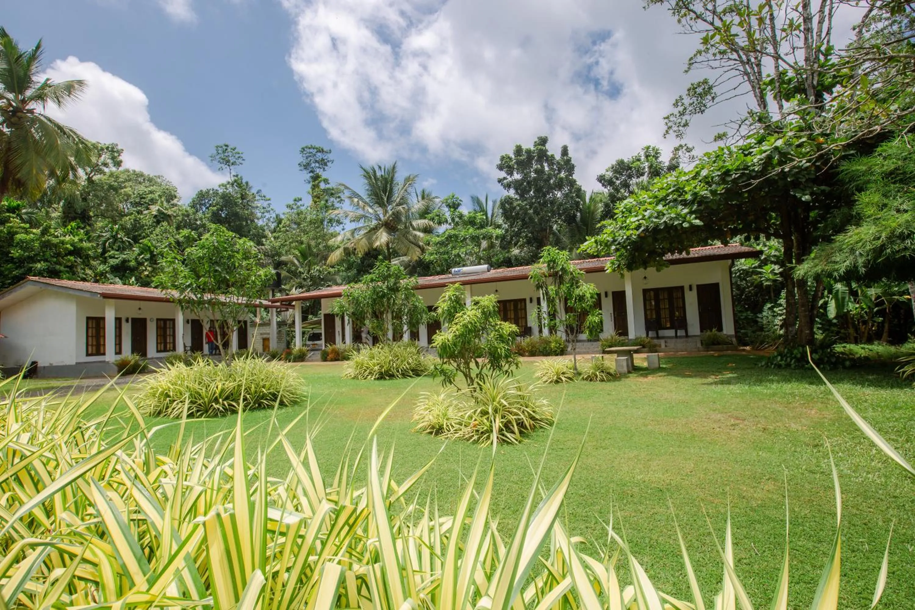 Garden in The Regency Villa by Escape Essence