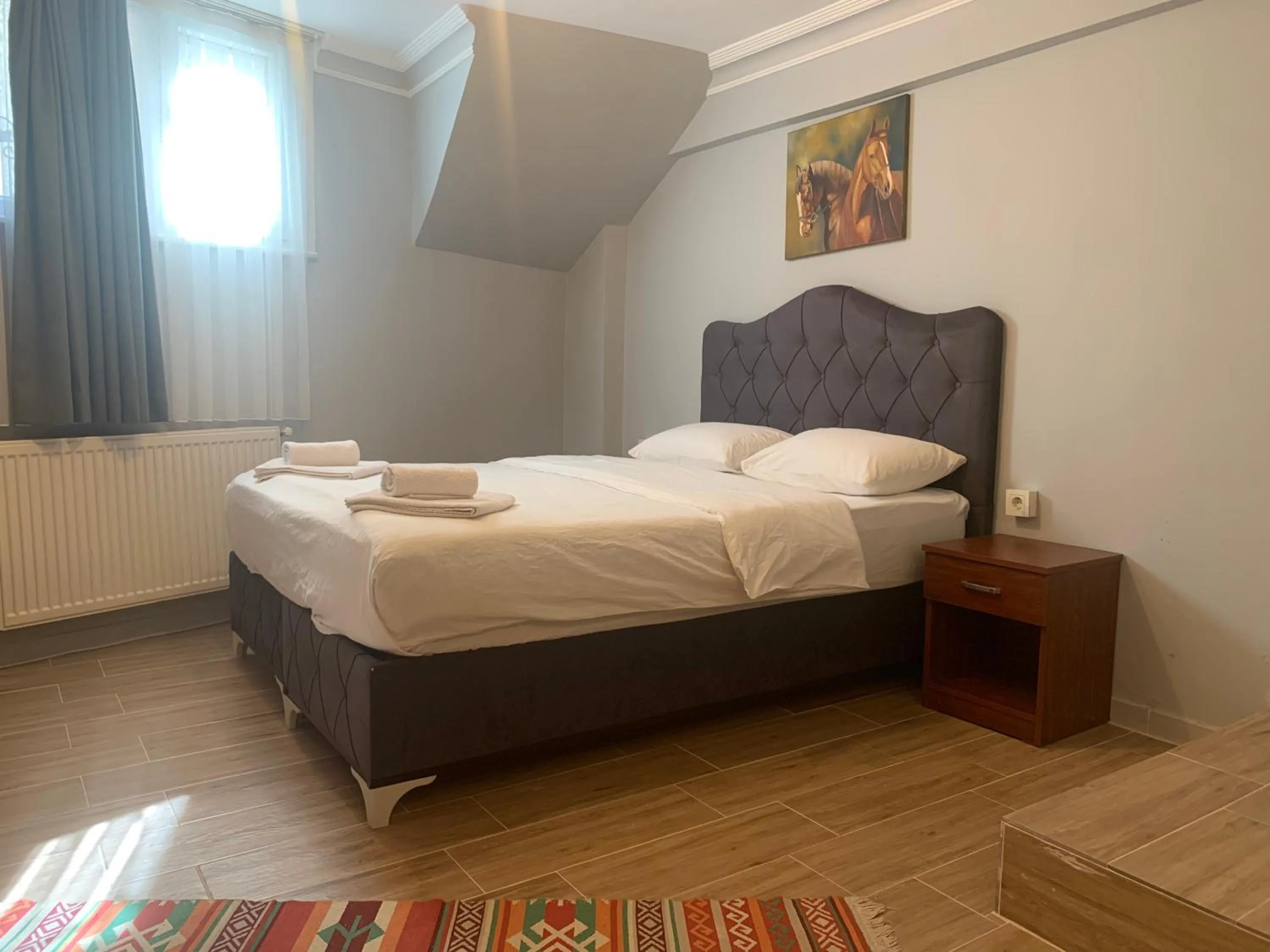 Economy Apartment in Pine Stone Apart Hotel Sultanahmet