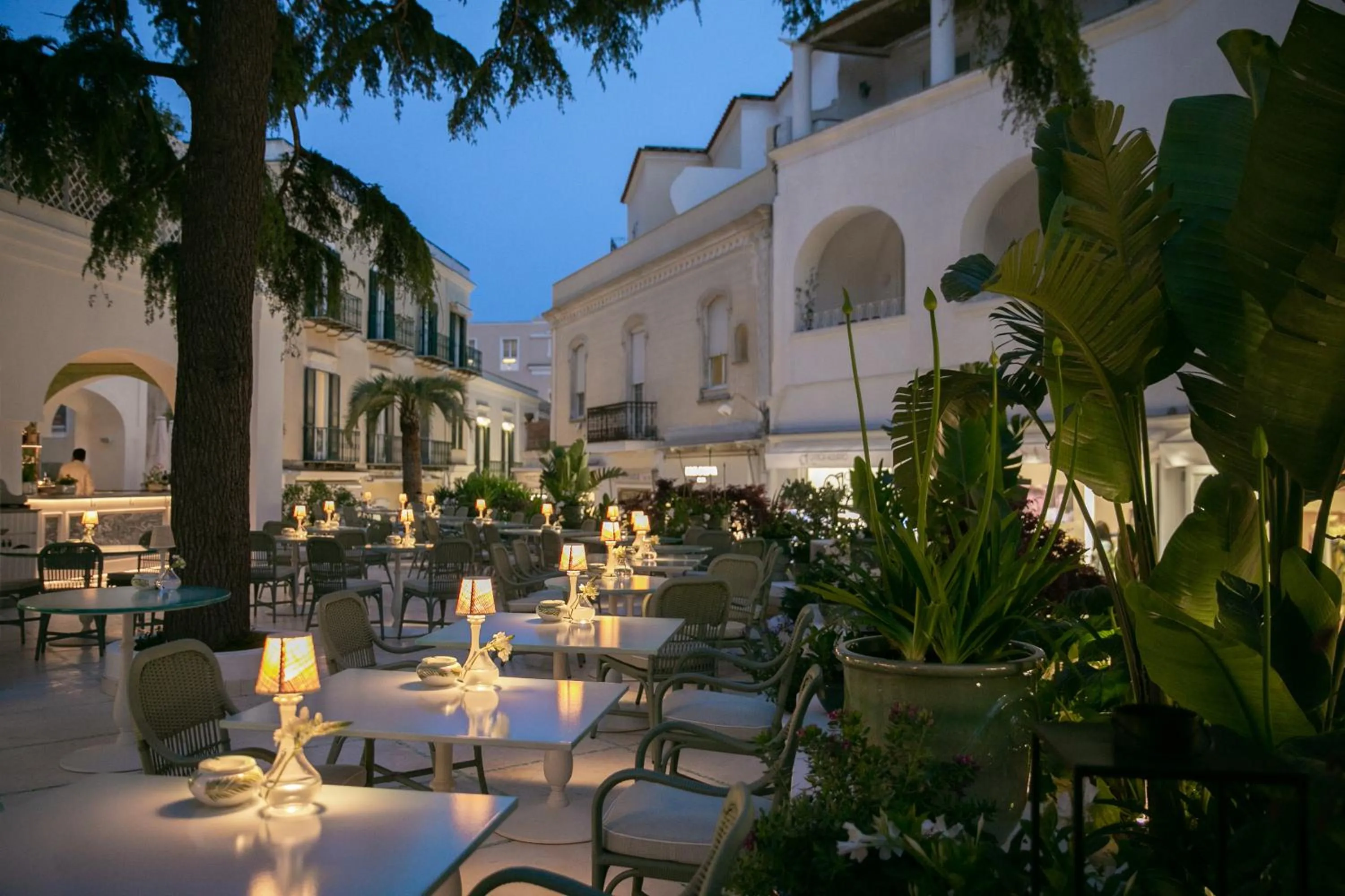 Restaurant/places to eat in Hotel La Palma, Oetker Hotels