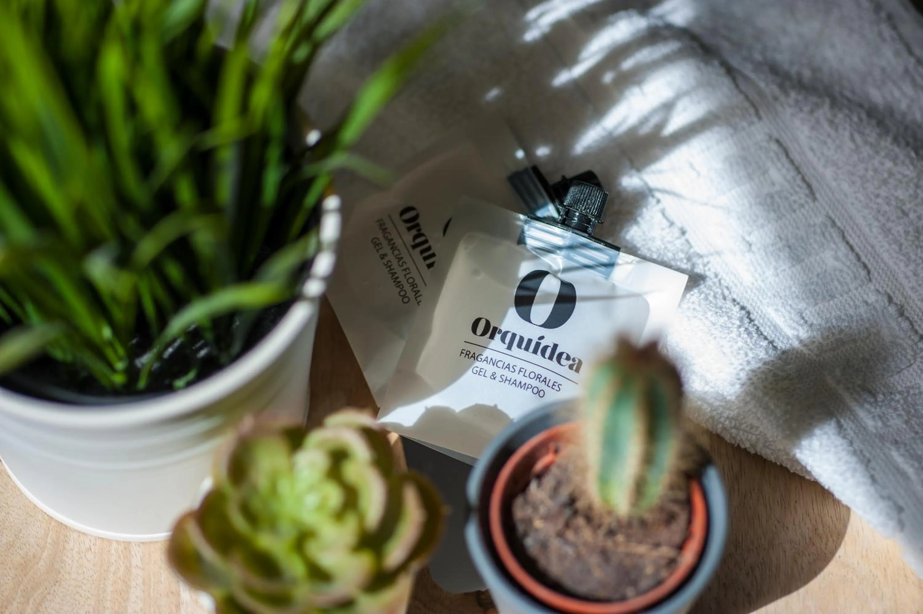 Bathroom in Pensión Sarriegi