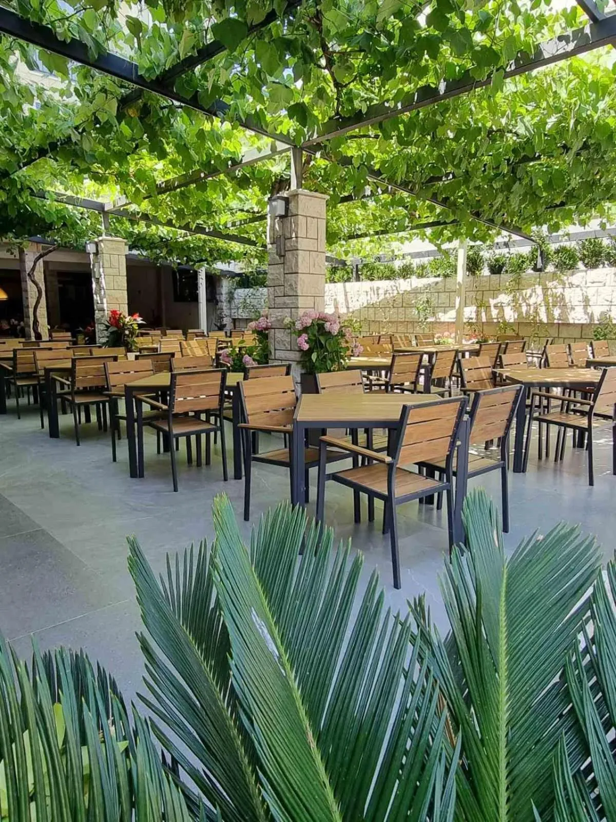Restaurant/places to eat in Hotel Lobo Budva