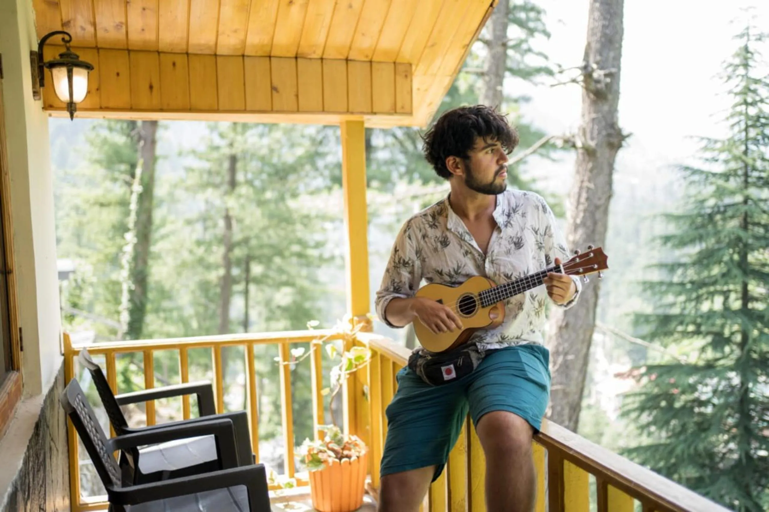 Day in Majestic View Cottages