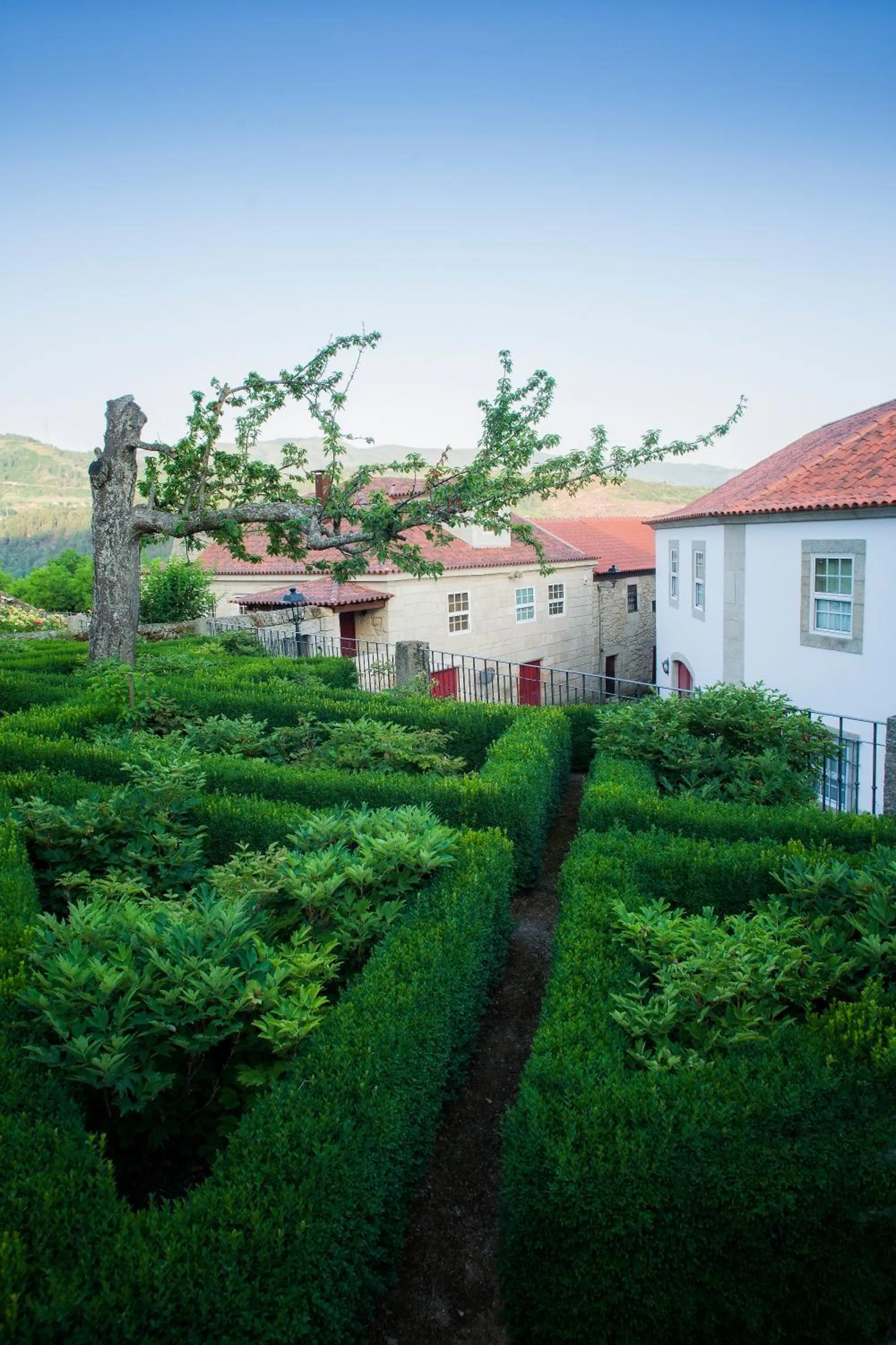 Day in Casas da Memória