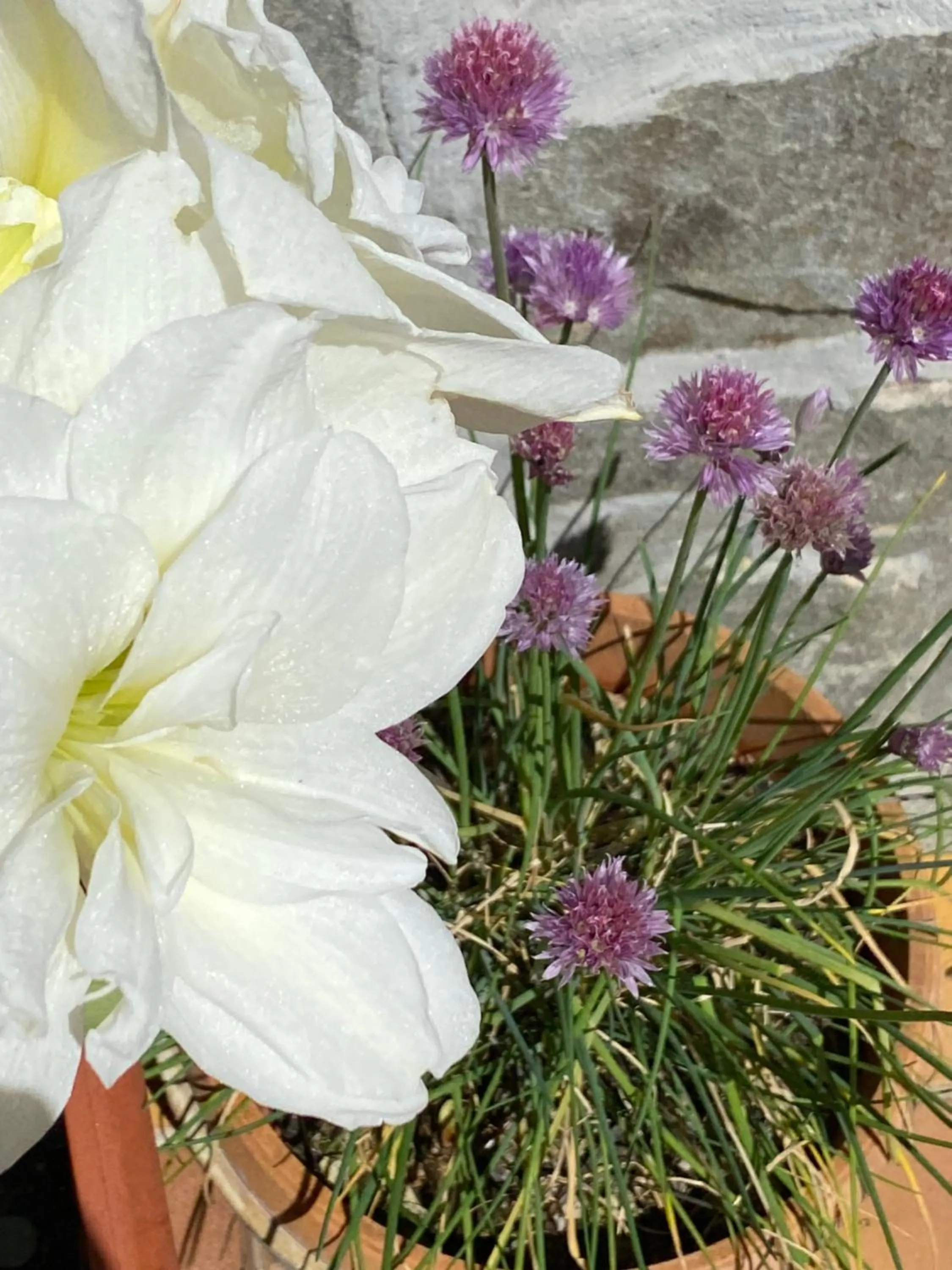 Accommodation with an experience!!! Hostel Kantun